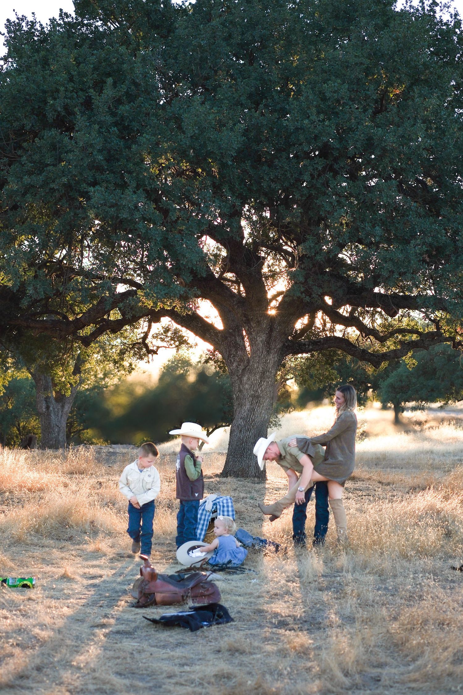 People gather under large oak trees in a golden field during sunset creating a peaceful outdoor scene.