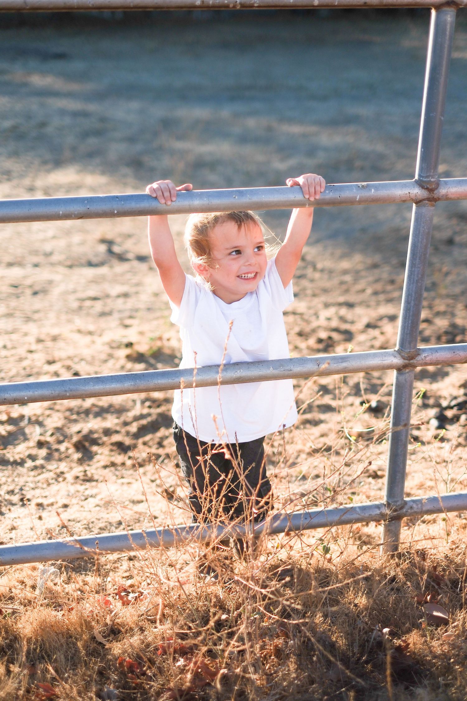 A sequence of playful moments at a metal railing in a sunny outdoor setting.
