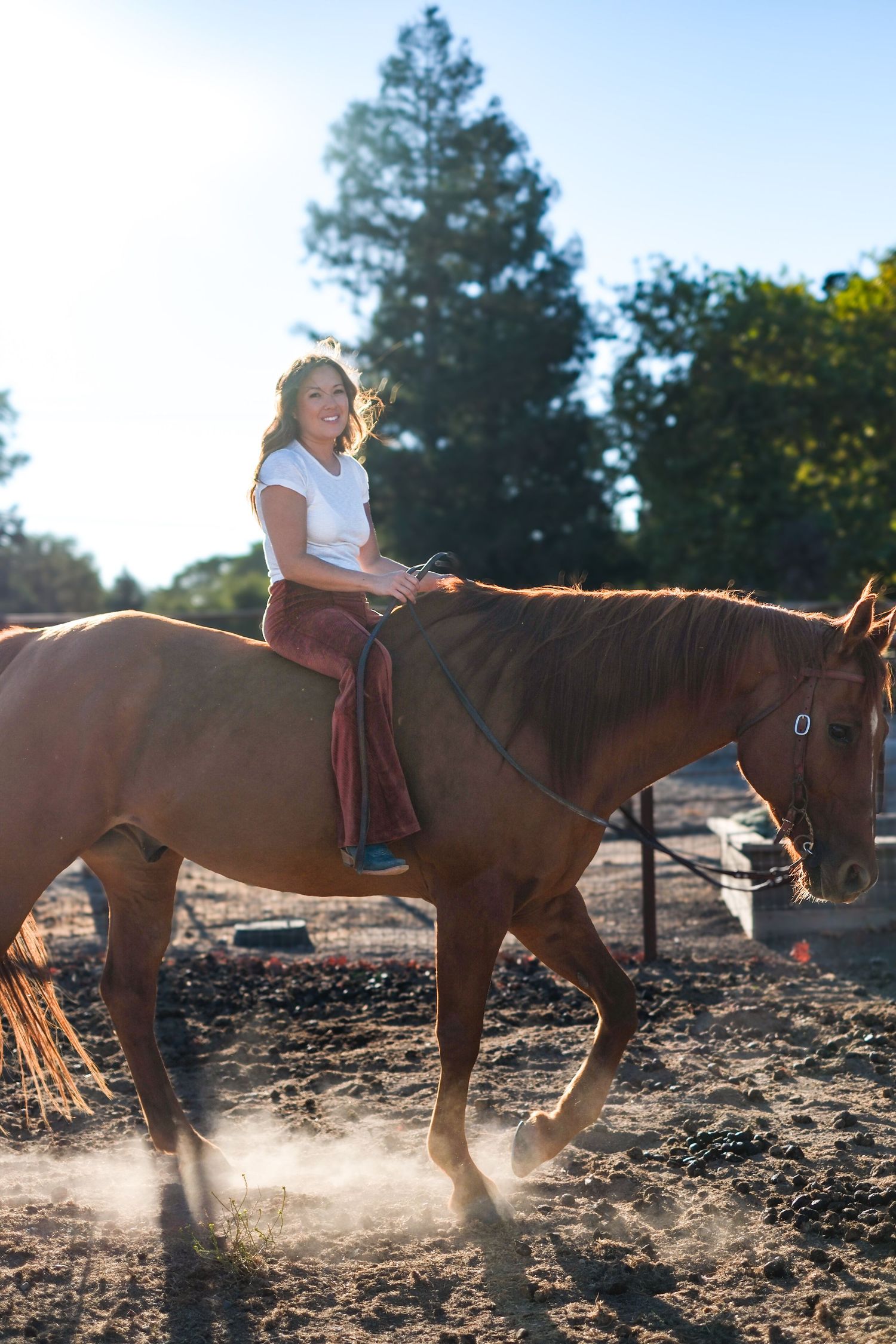 A rider on horseback trots through a dusty paddock with evergreen trees in the background.