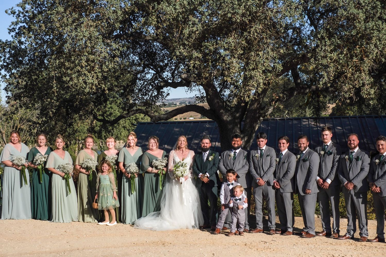 Large wedding party lined up outdoors with bridesmaids in pink dresses and groomsmen in gray suits.