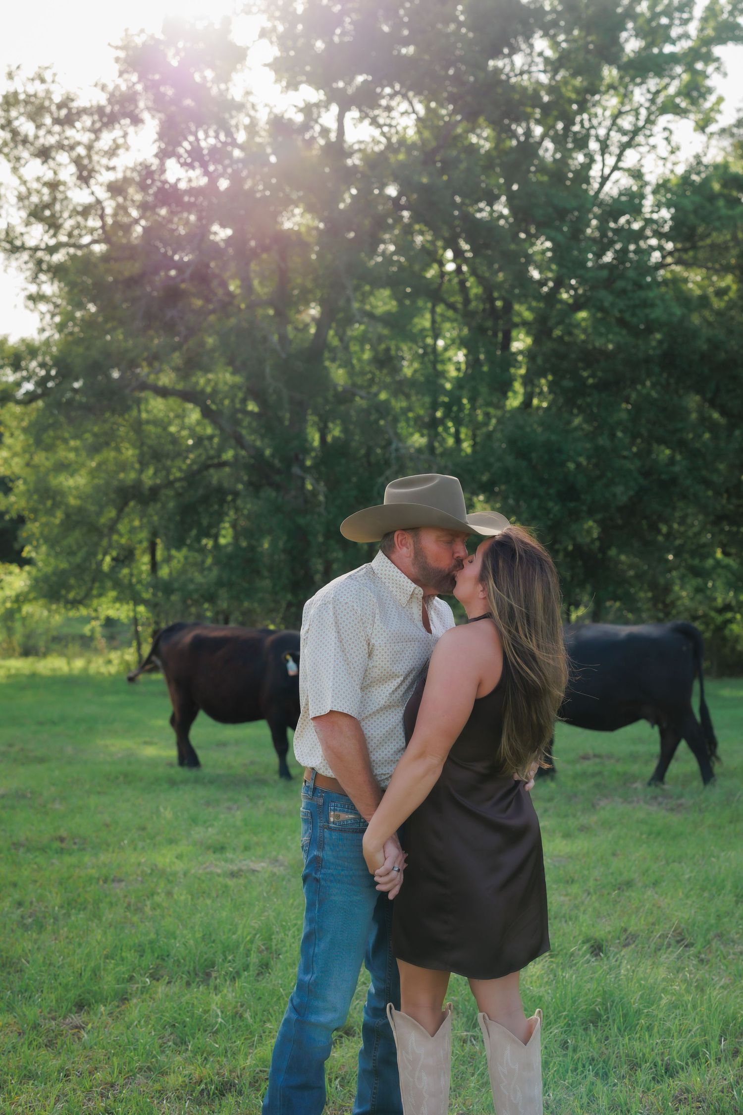 Couple sharing a kiss in green pasture with black cattle grazing behind them, man in cowboy hat and jeans.