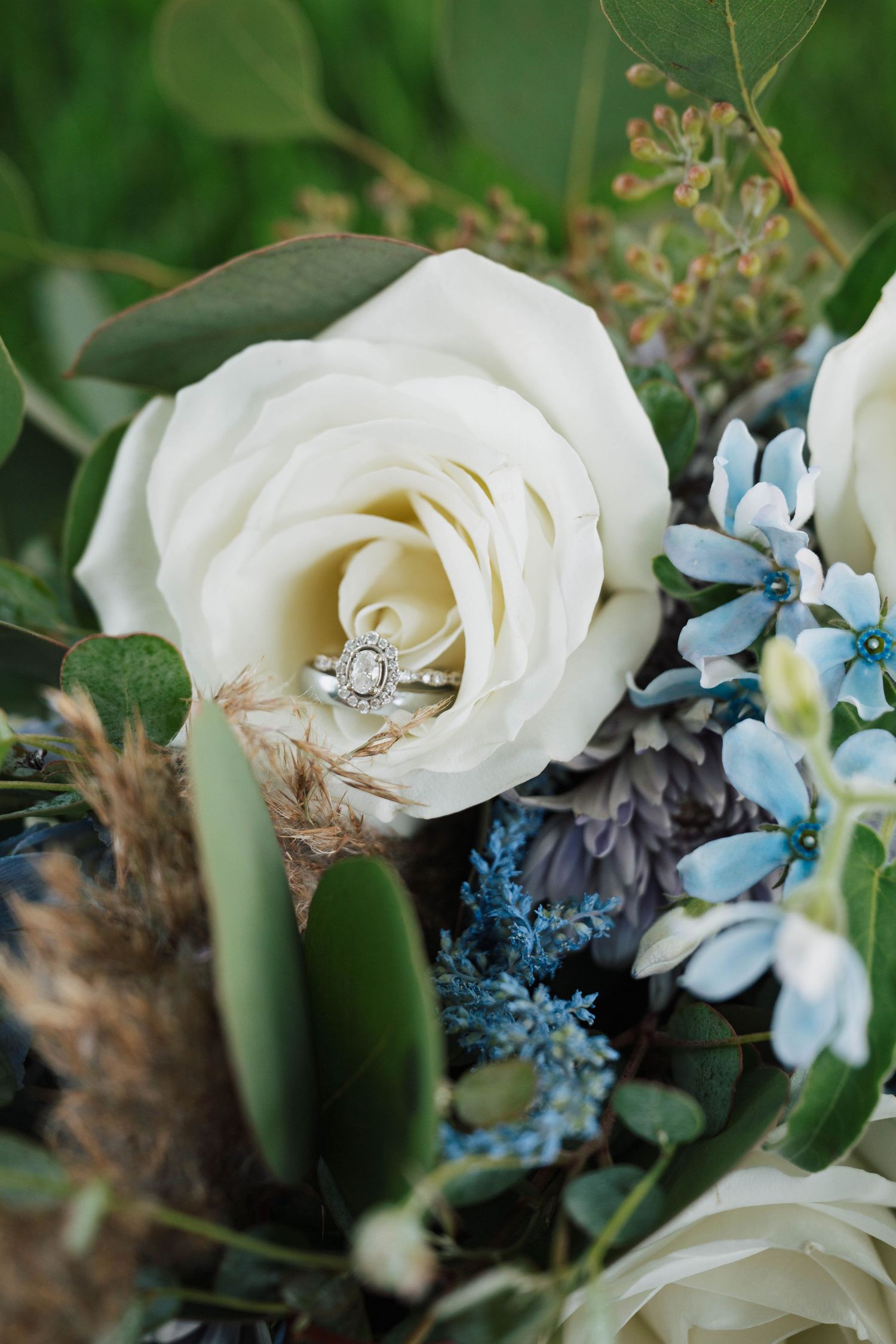 Wedding ring nestled in white rose with delicate blue flower accents.