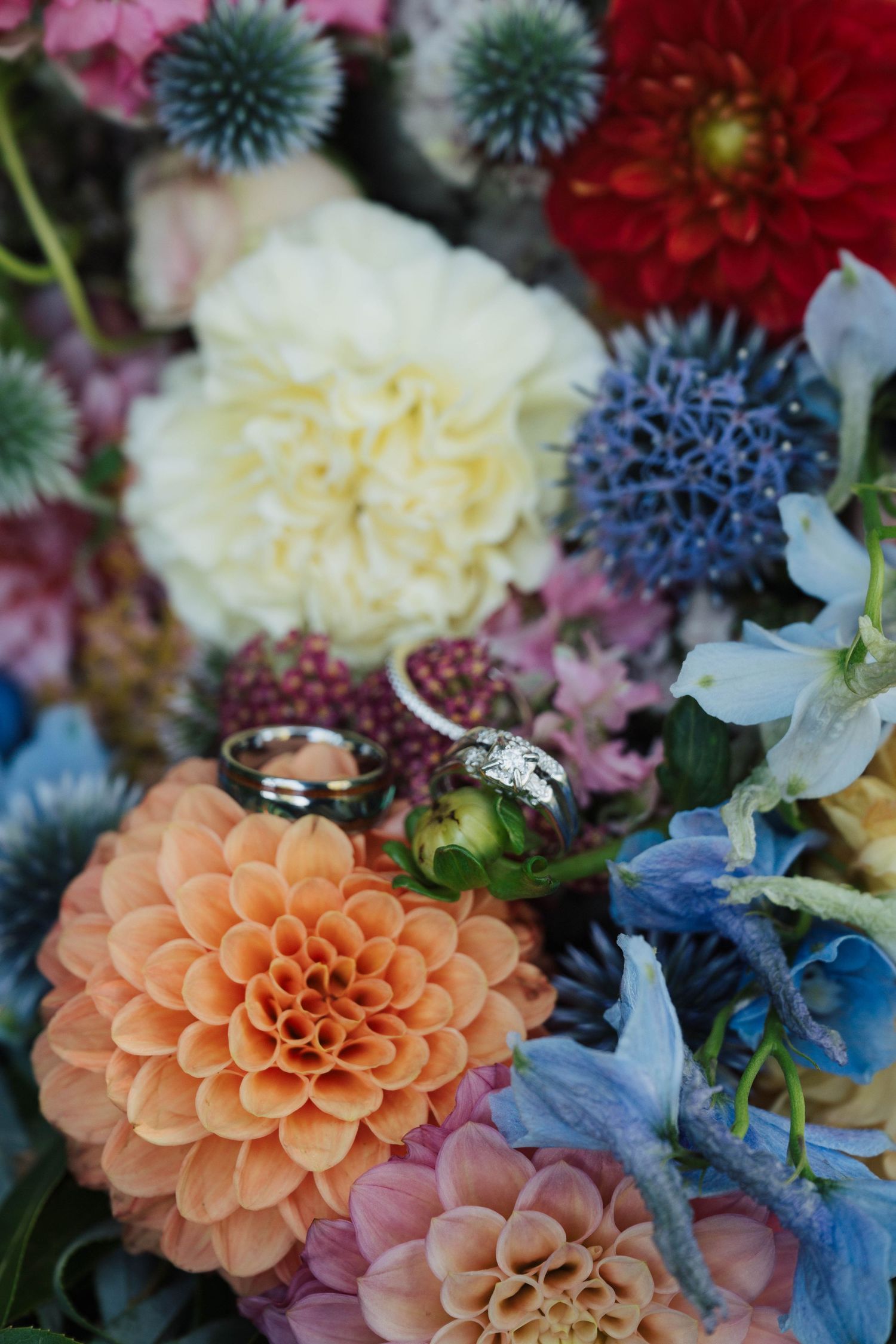 Close-up of vibrant wedding bouquet featuring dahlias in peach, red, and cream with blue accents.