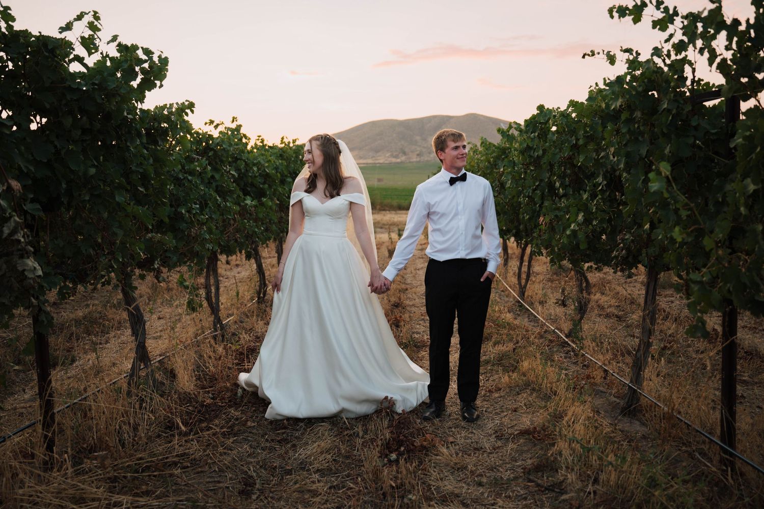 A couple walks through a vineyard at sunset during their wedding photoshoot.