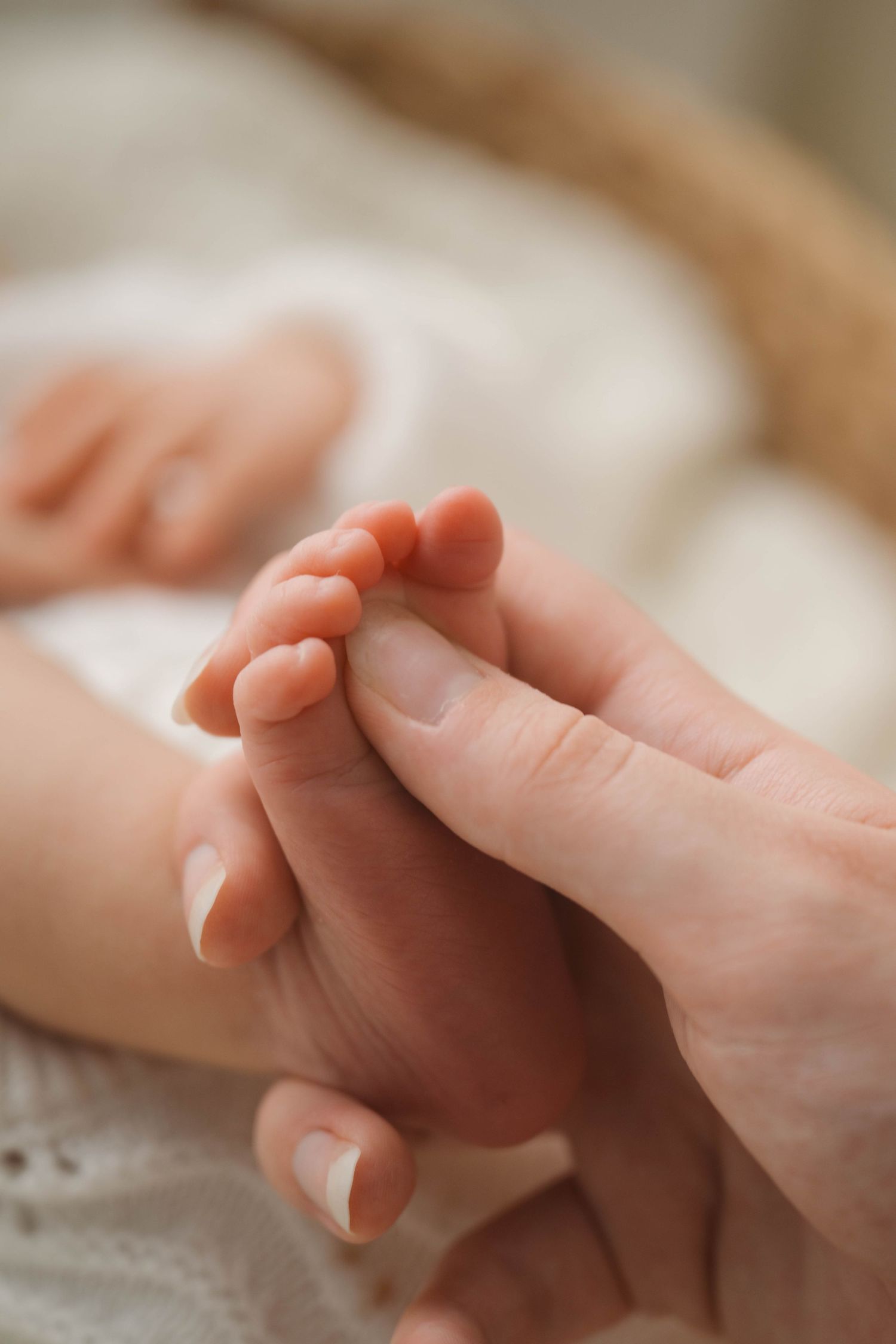 An adult hand gently holding a newborn baby's tiny foot, showcasing the delicate size difference between parent and child.