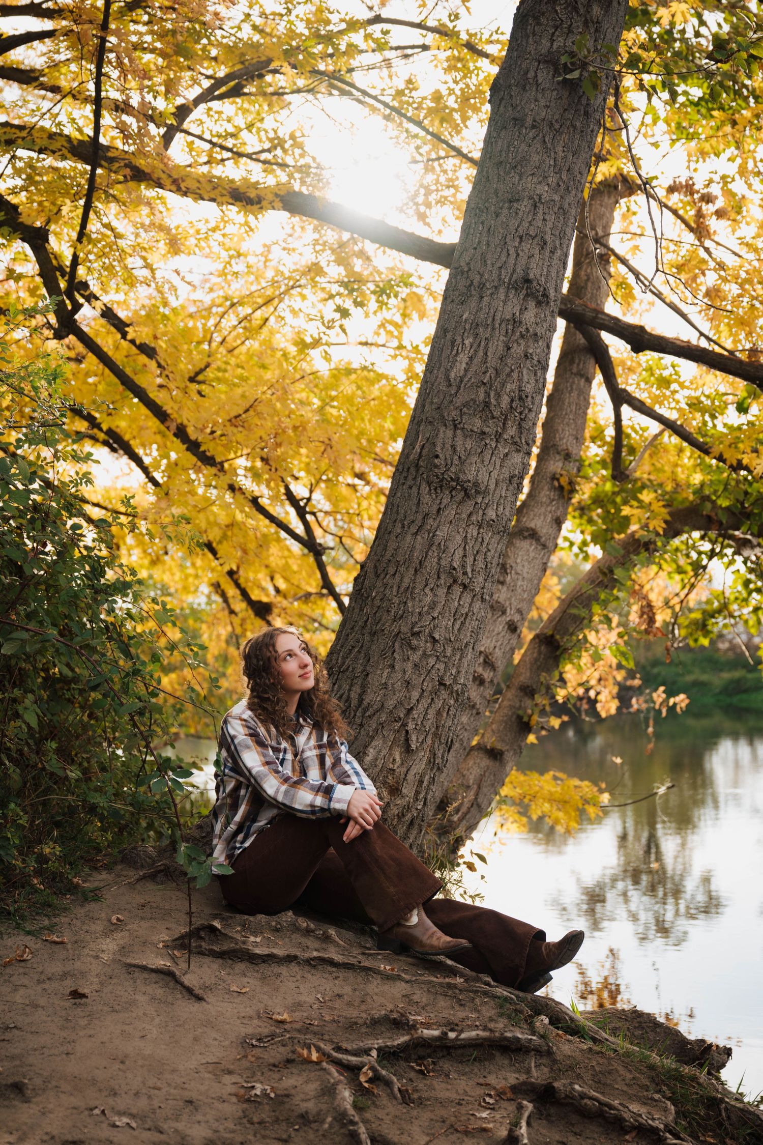 A person sits by a tree trunk overlooking a lake surrounded by golden autumn foliage.