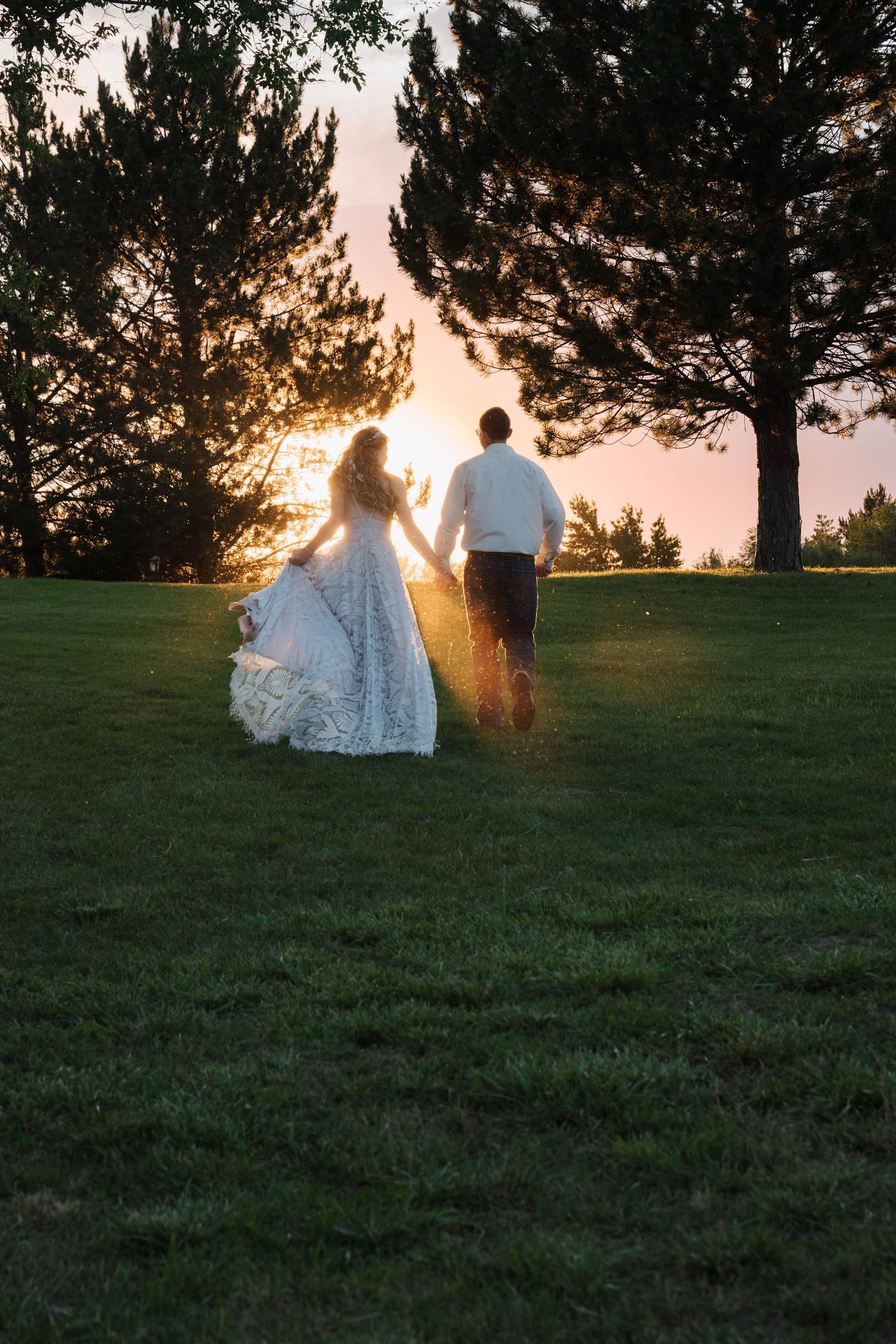 Romantic sunset silhouette of couple on grassy hillside with pine trees in background.