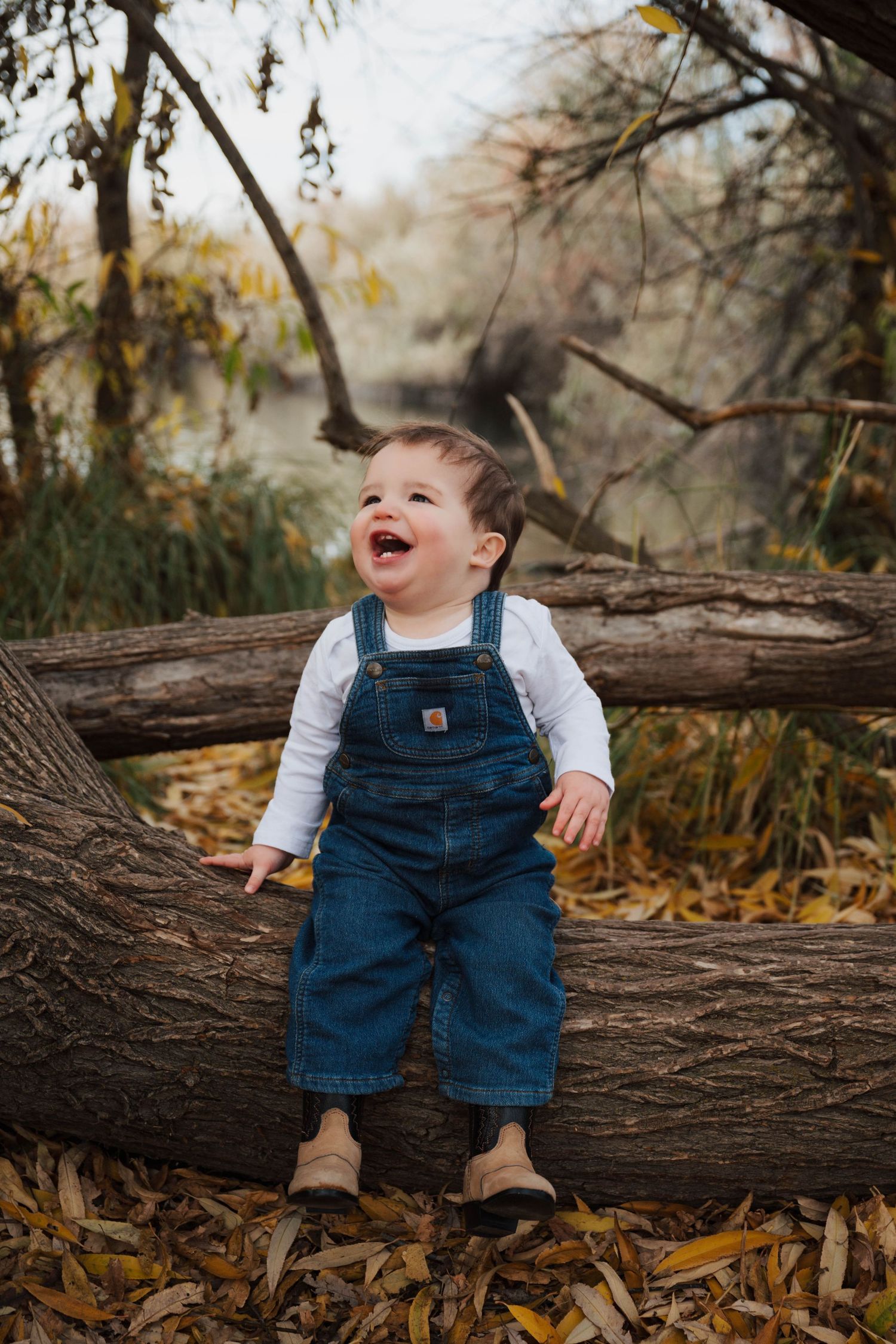 A toddler in blue overalls sits on a fallen log surrounded by autumn leaves while laughing joyfully.