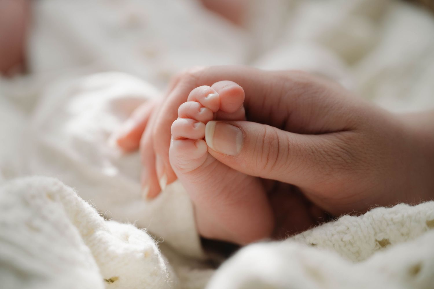 A gentle adult hand tenderly holds a newborn baby's tiny feet wrapped in a soft white knit blanket.
