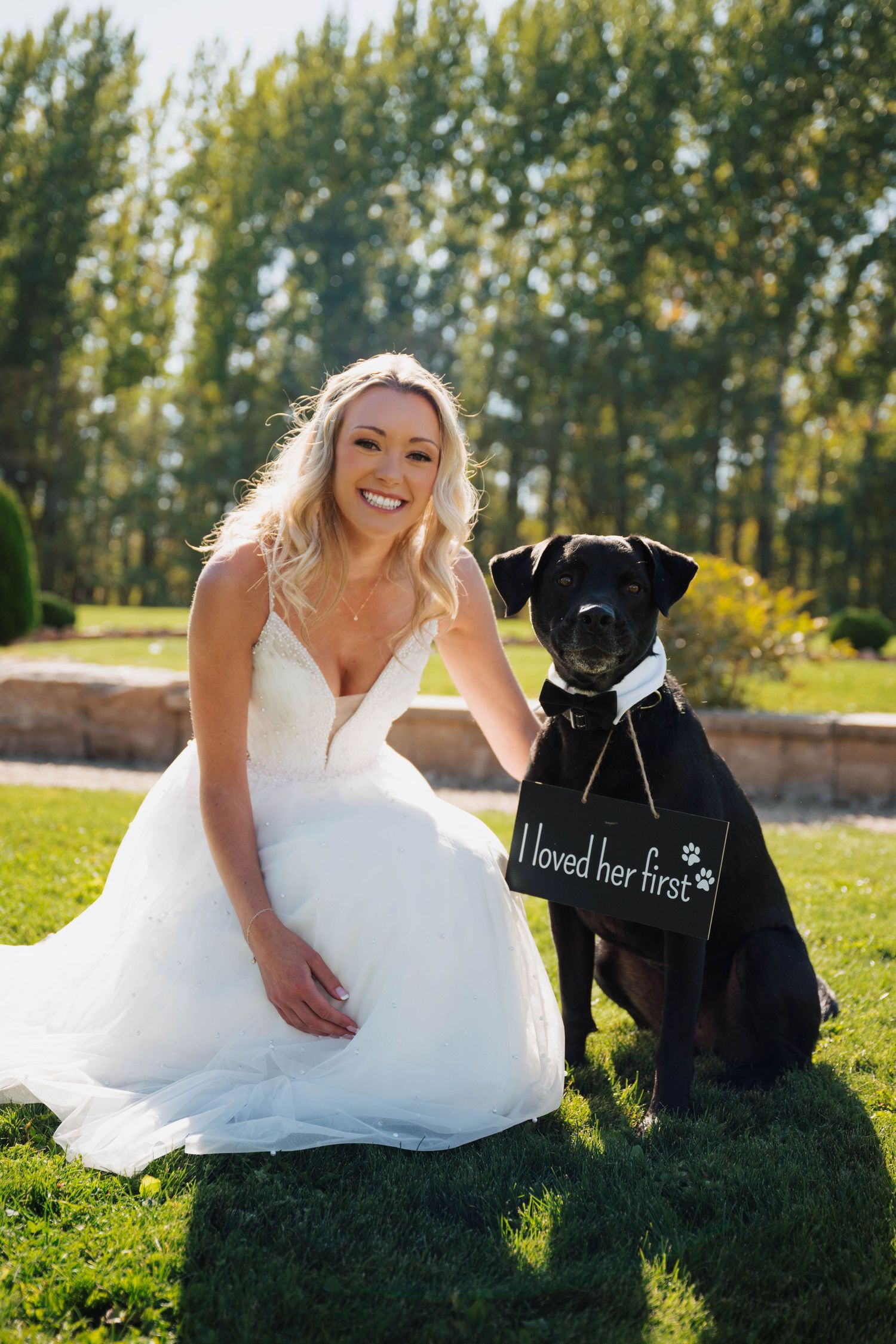 Bride in white gown poses with black dogs on sunny grass lawn.