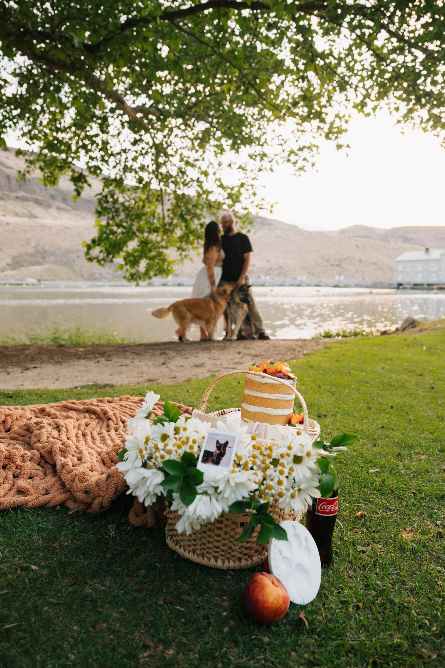 Picnic setup with flowers and basket on grass near water with couple and dogs in background.