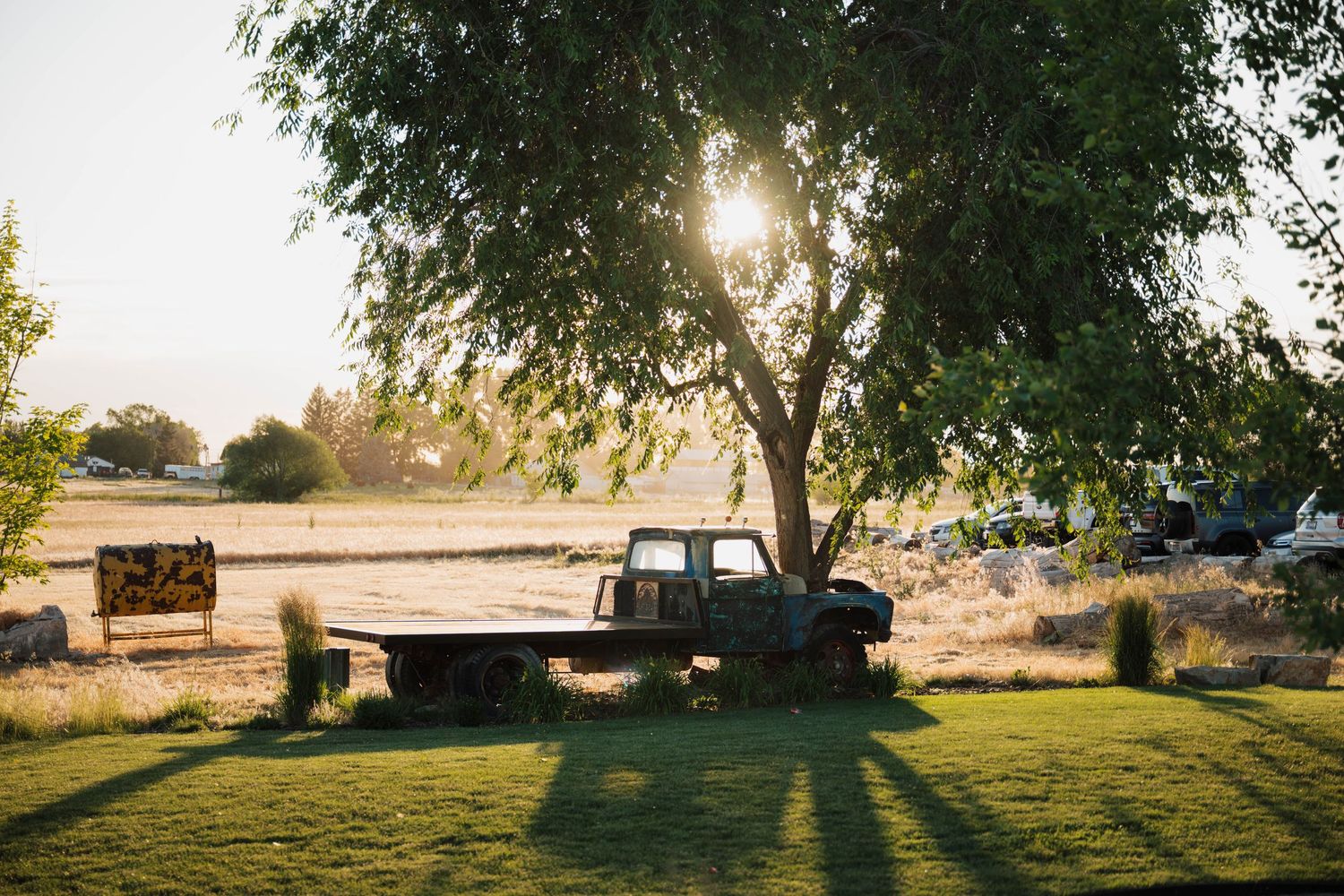 Vintage farm truck parked under a large tree on a green lawn at golden hour sunset in a rural setting.