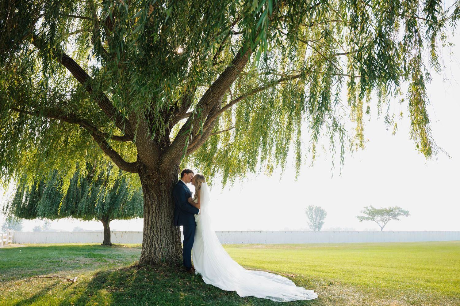 Bride and groom under a willow tree at Willow Grove Events in Emmett, Idaho, photographed by Boise wedding photographer Yasinski Photography