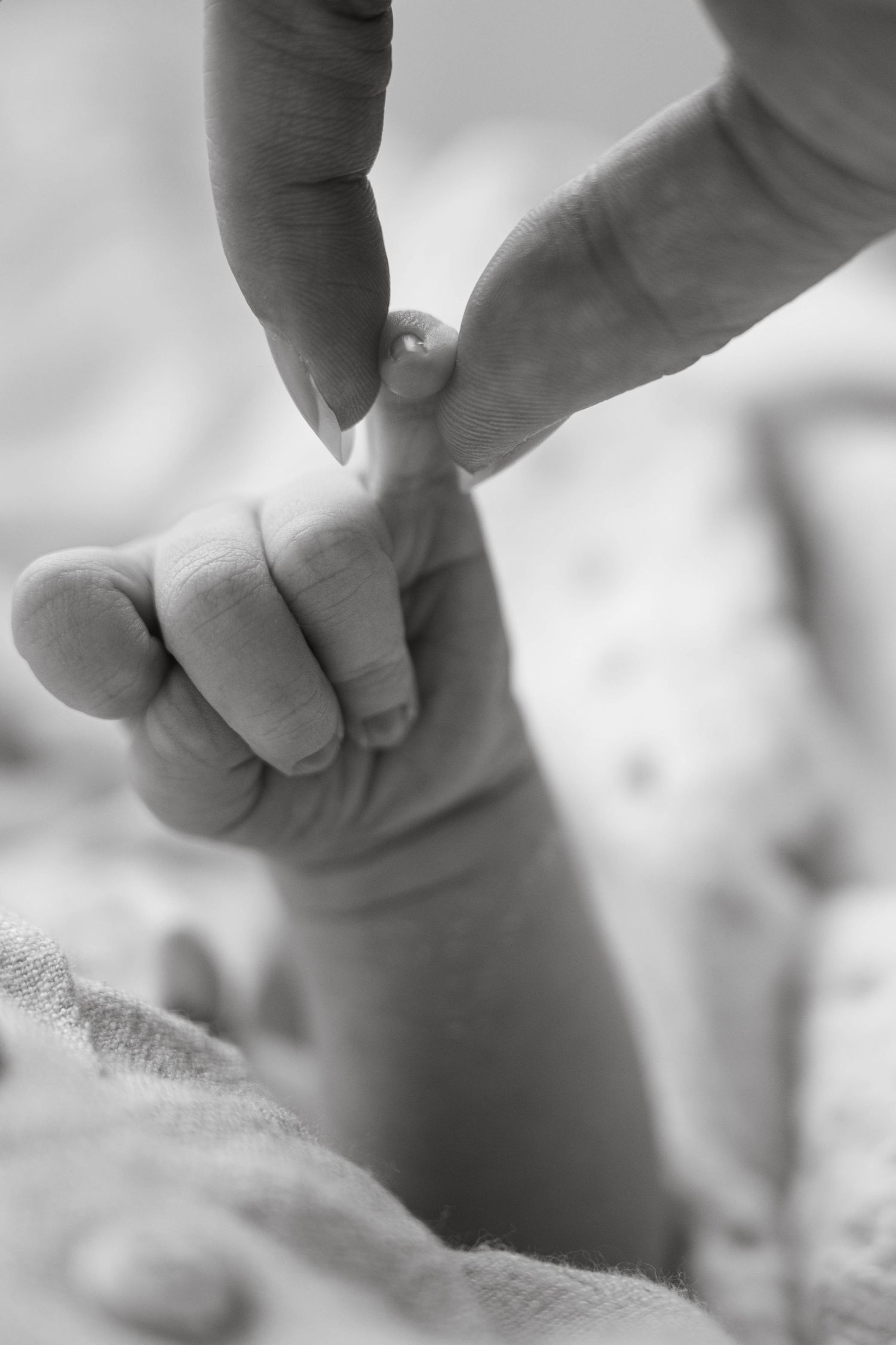 Black and white close-up of a baby's tiny hand gripping an adult's finger, symbolizing love and trust.