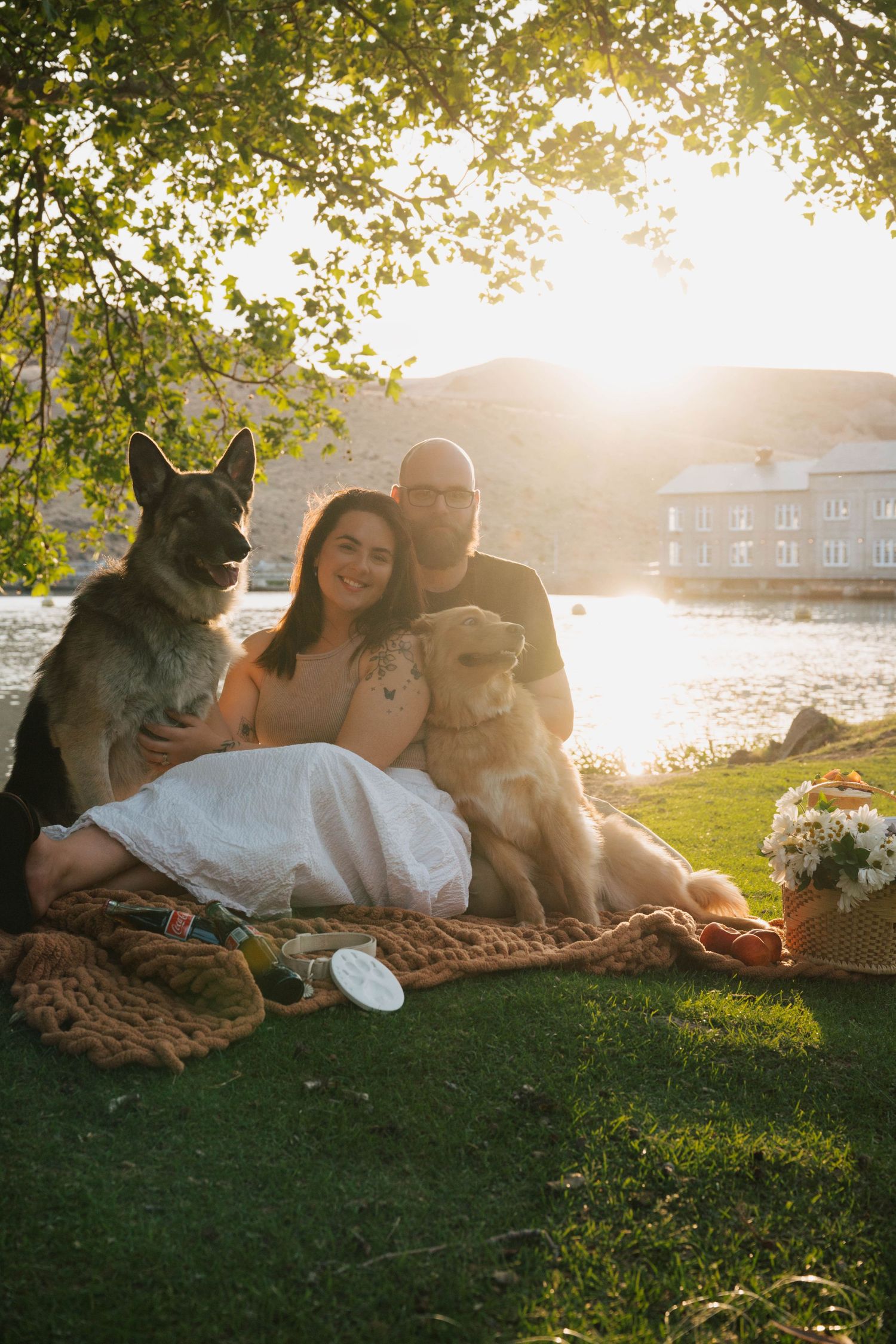 Sunset picnic scene with couple relaxing on blanket accompanied by their dogs.