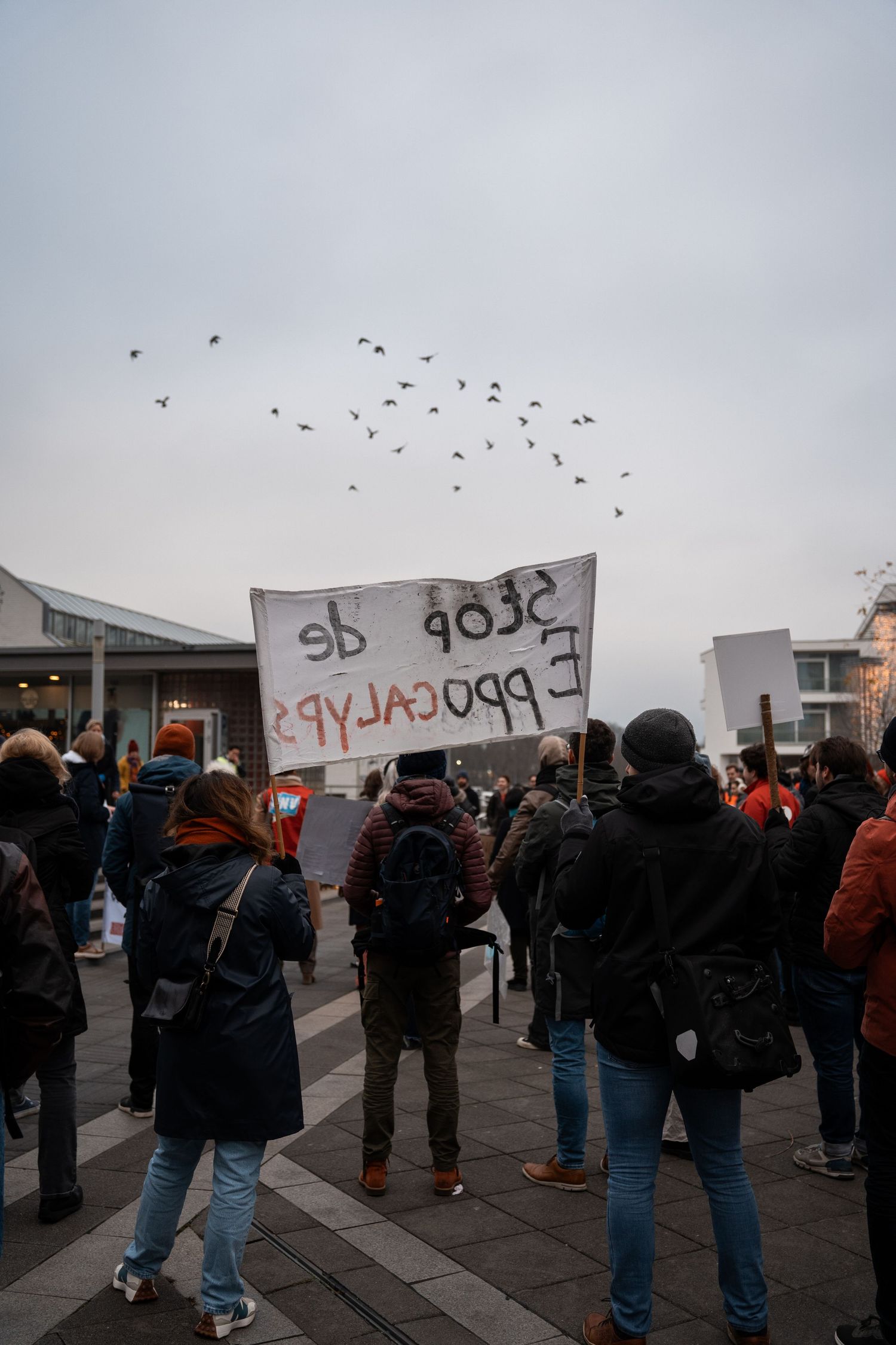 Protesters holding a banner reading Stop de Apocalypse at an outdoor demonstration with birds flying overhead.