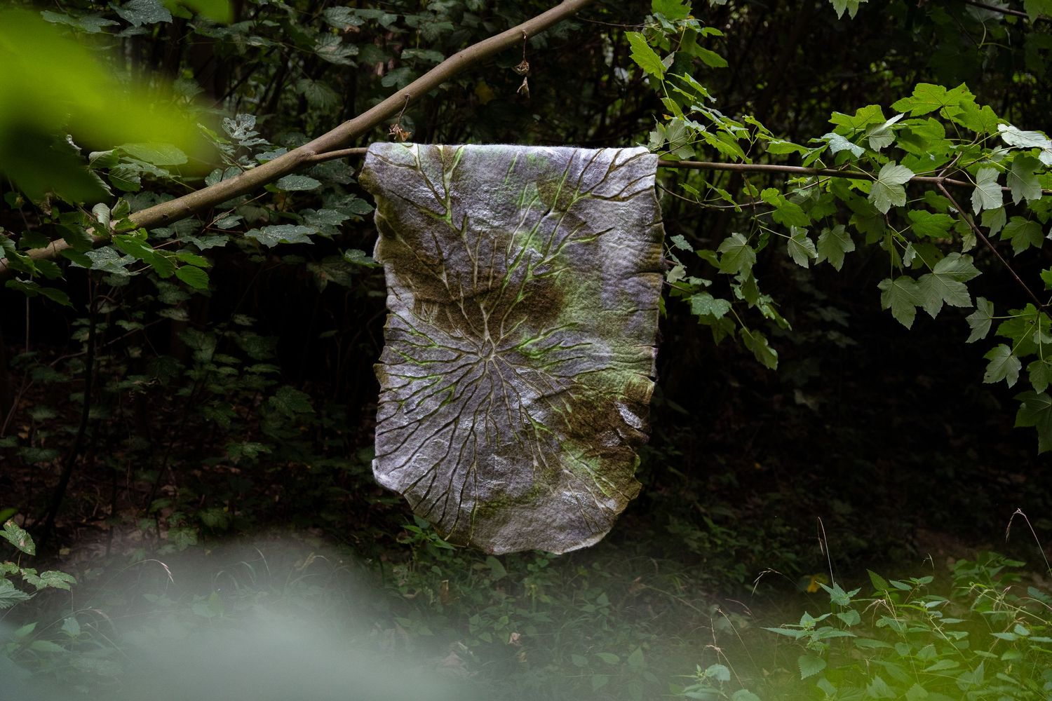 Delicate nature print artwork hanging from a tree branch in woodland.