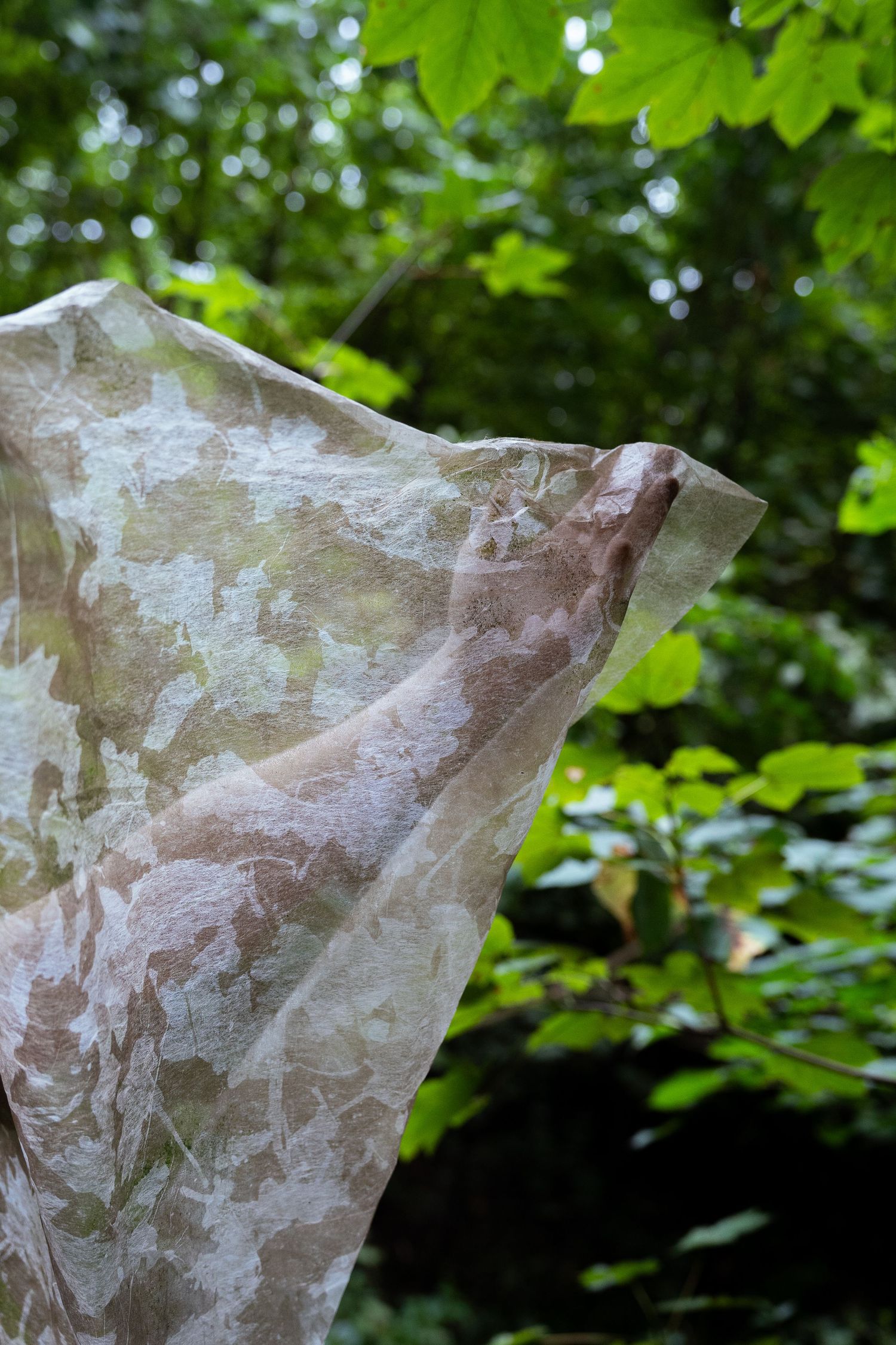 Sheer botanical-printed fabric held up against a lush green forest backdrop.