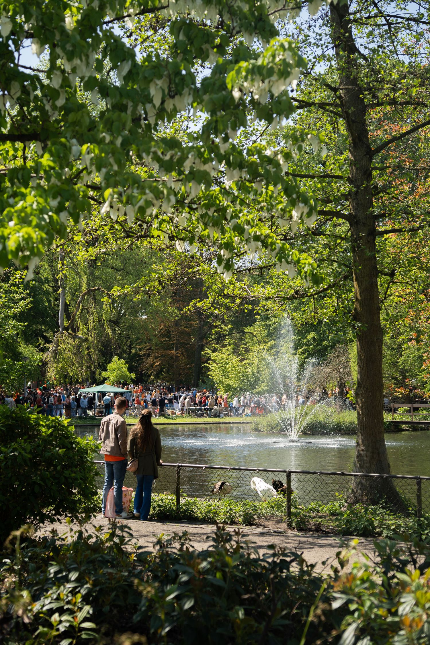Crowd gathered on a sunny green park lawn for an outdoor flea market event with bare trees overhead.