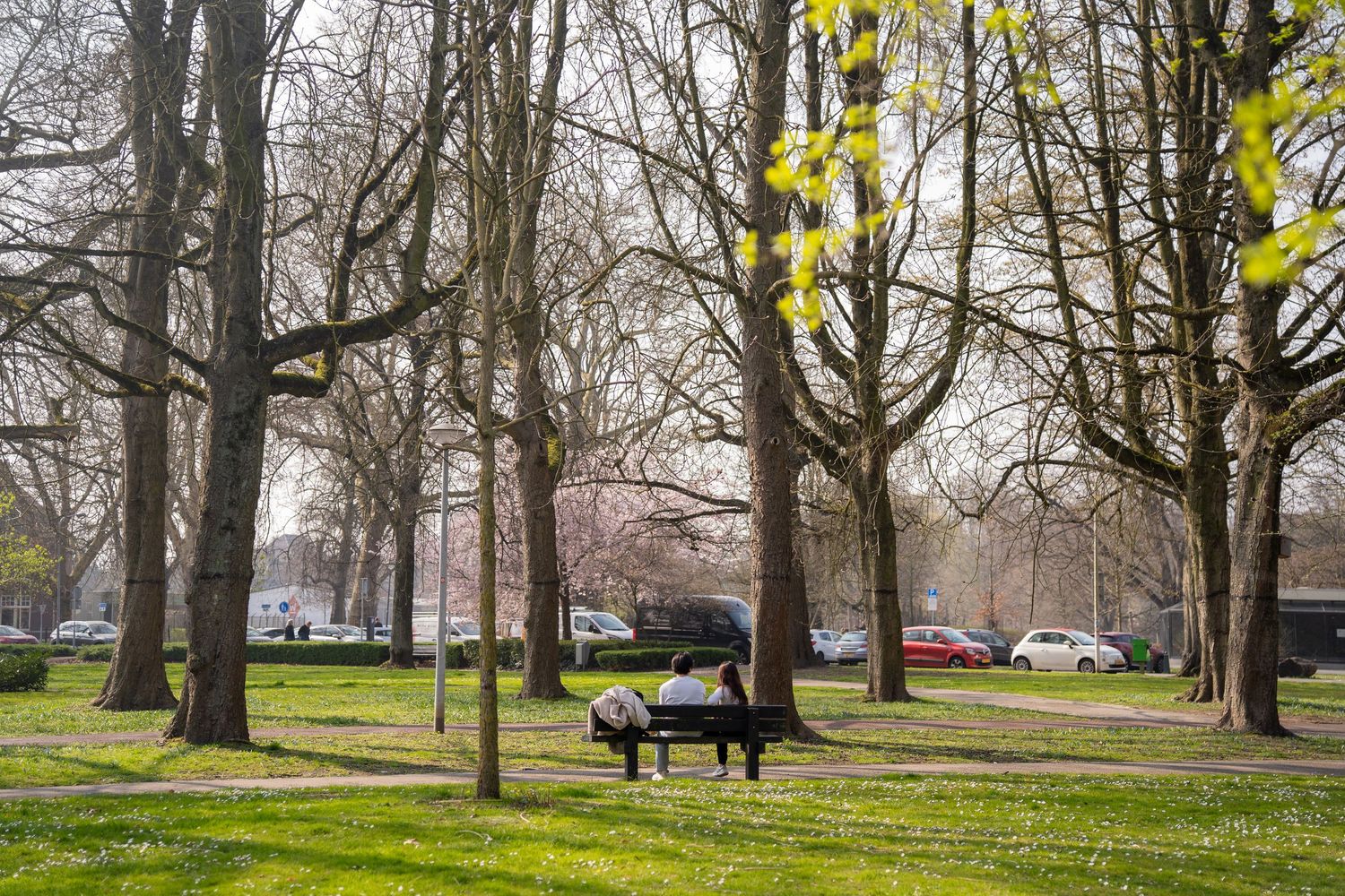 Person sitting on a bench in a spacious urban park surrounded by tall bare trees in early spring.