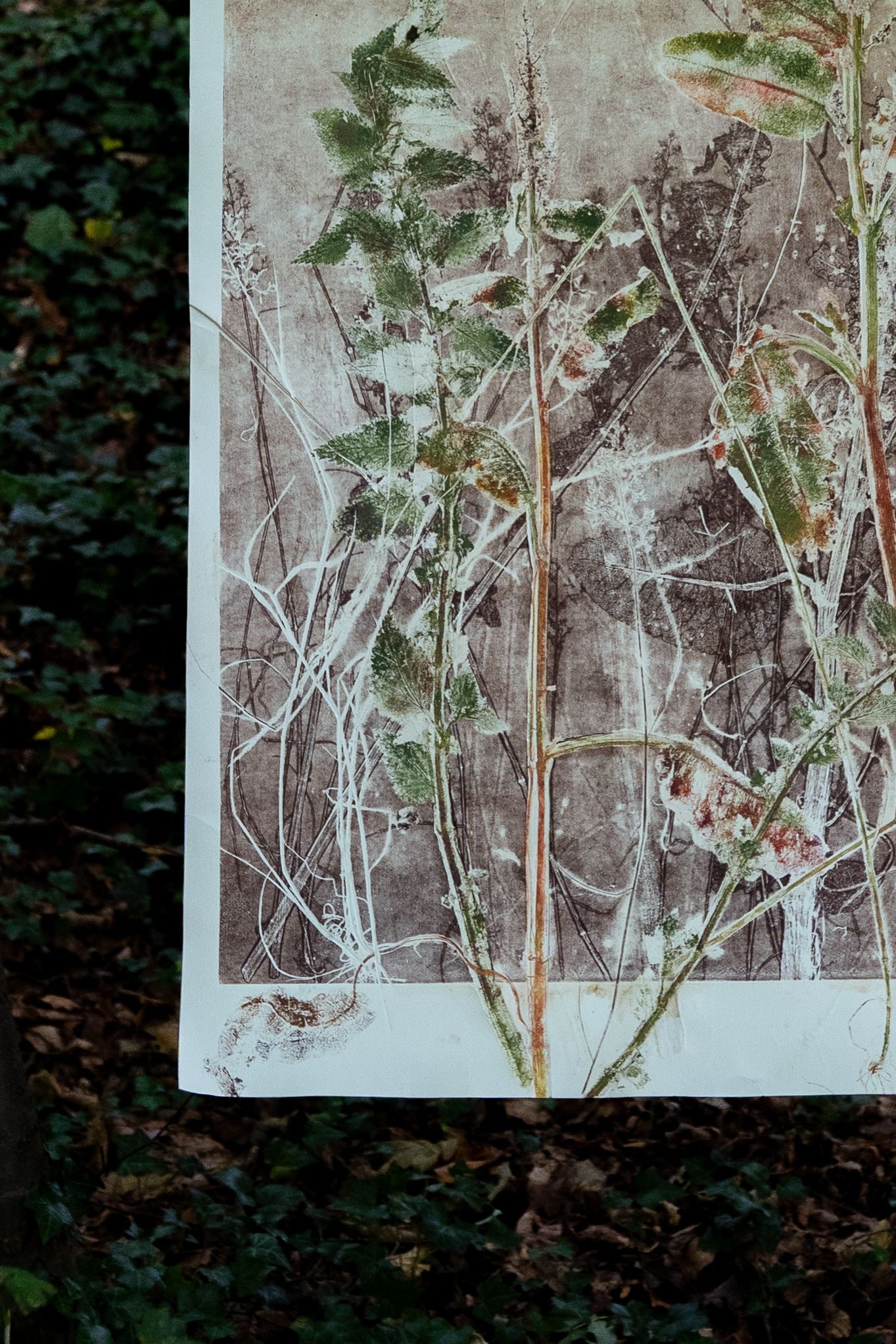 Botanical print artwork featuring pressed plants and branches on textured paper.