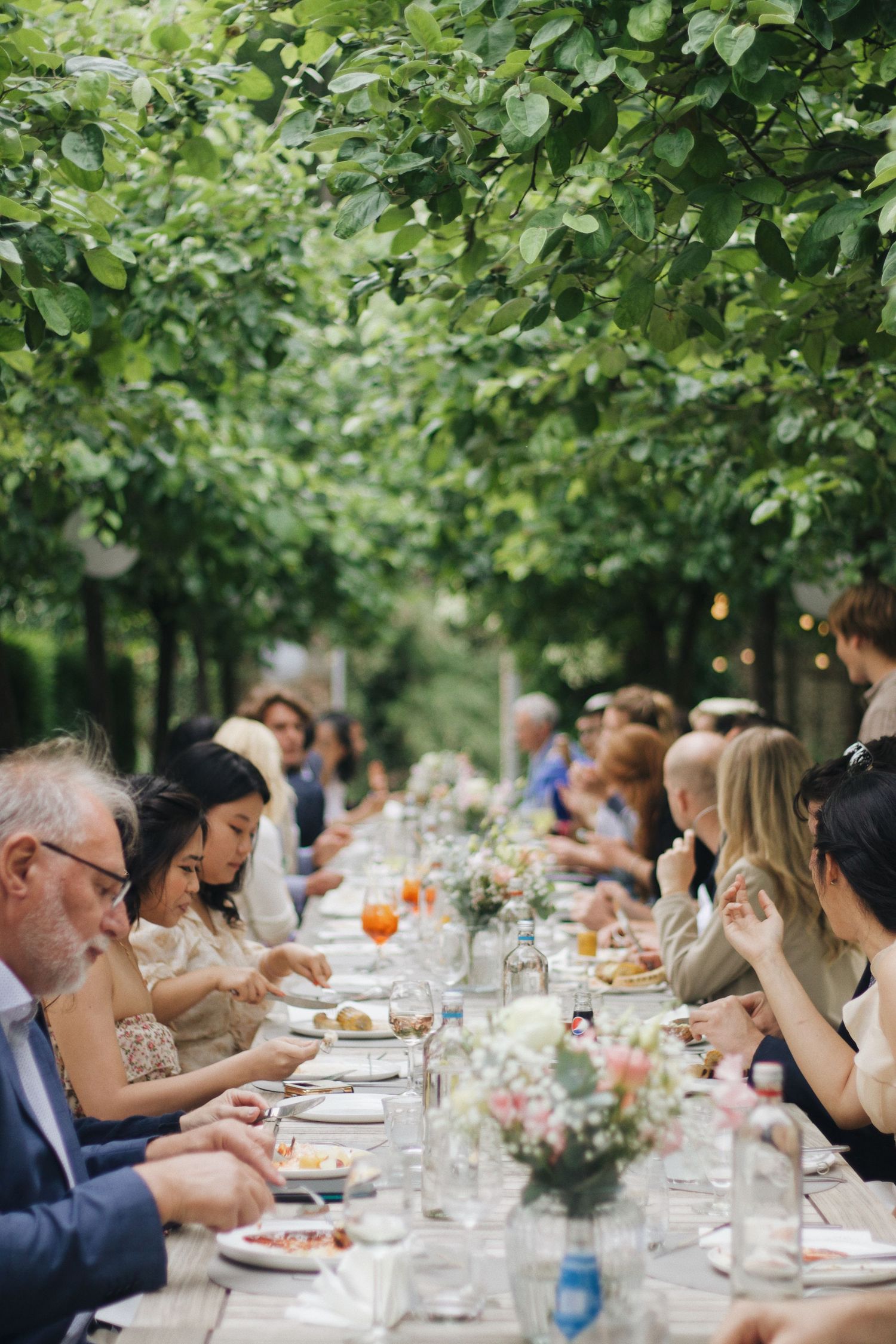 Wedding guests dining at long outdoor table beneath lush green tree canopy.