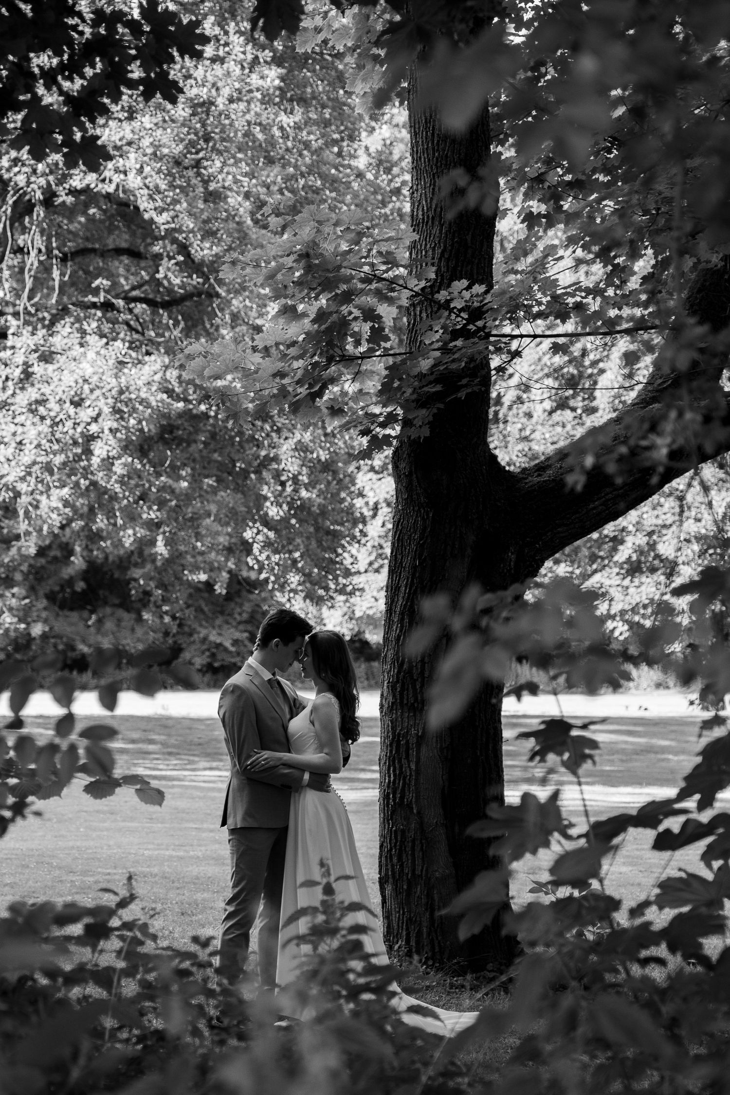 Black and white photo of bride and groom embracing under a large tree in a lush park.