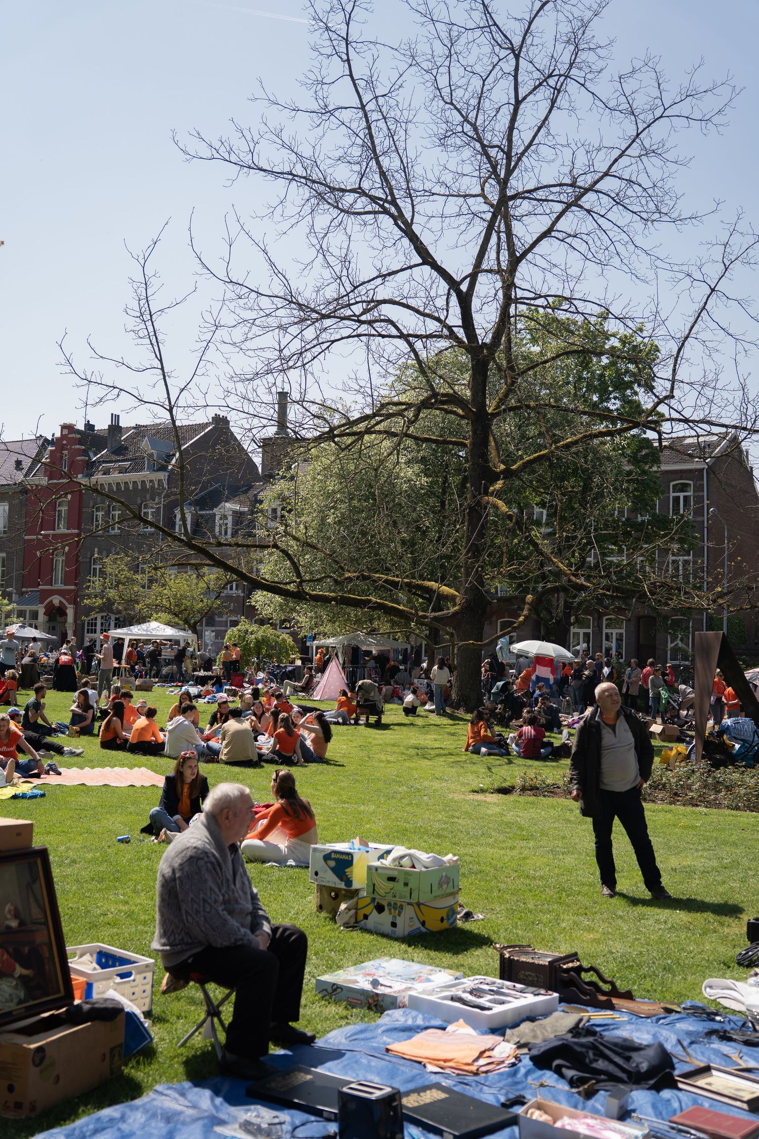 Outdoor flea market on sunny day with crowds relaxing on green grass near bare tree.