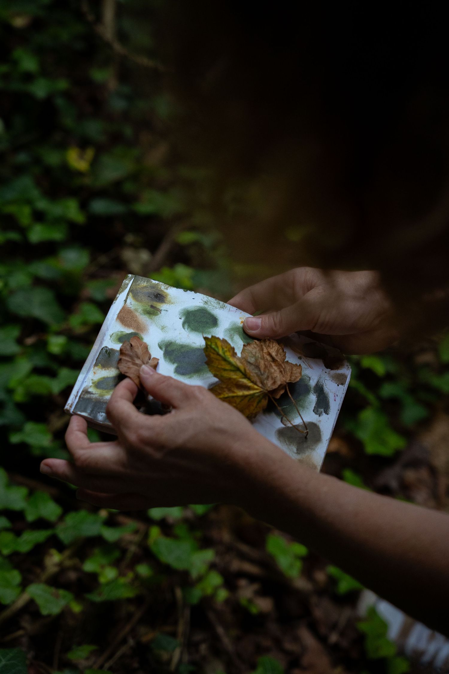 Hands holding a decorative card adorned with pressed autumn leaves in a lush green forest setting.