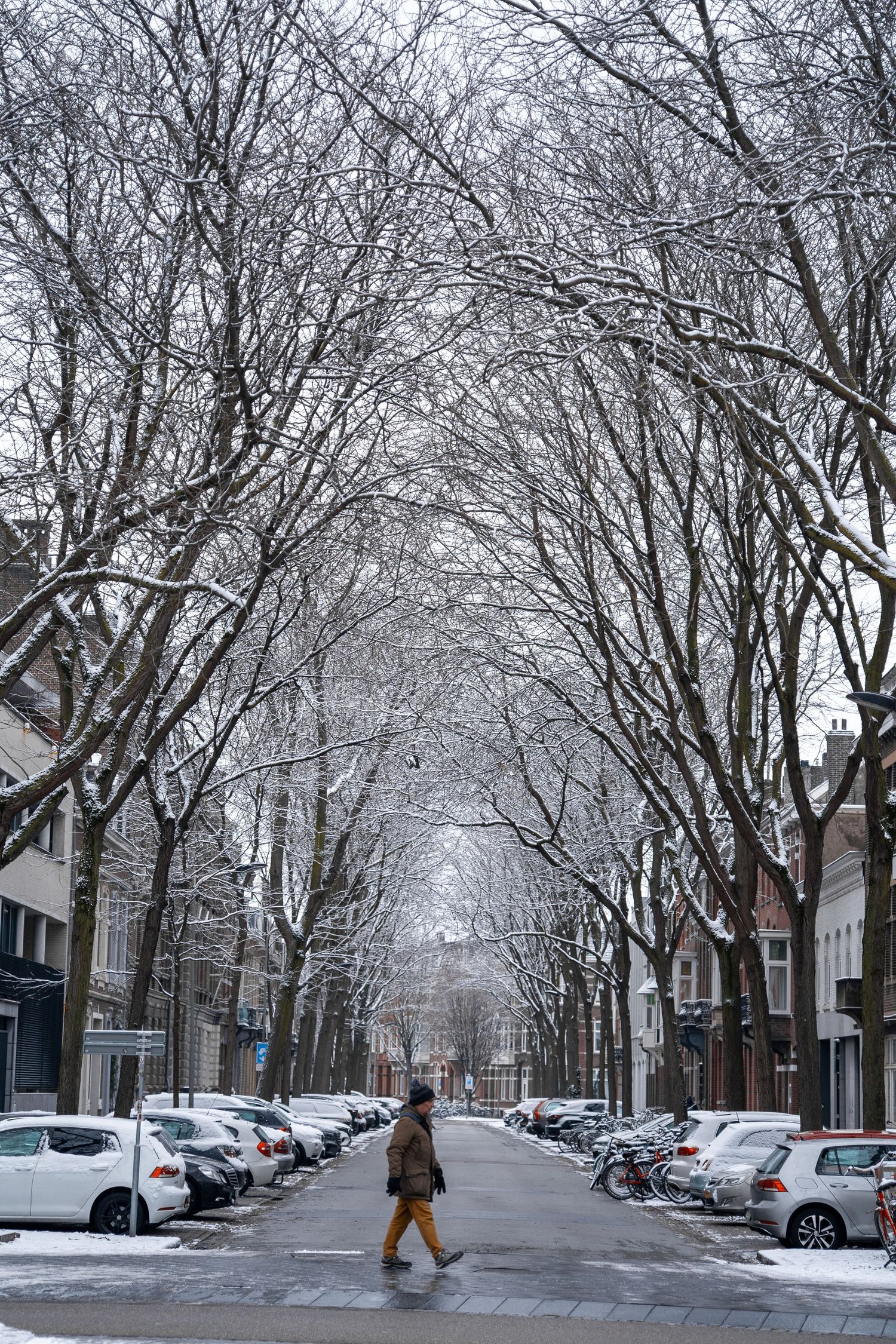 Lone pedestrian crossing a snow-covered tree-lined street with parked cars on both sides.