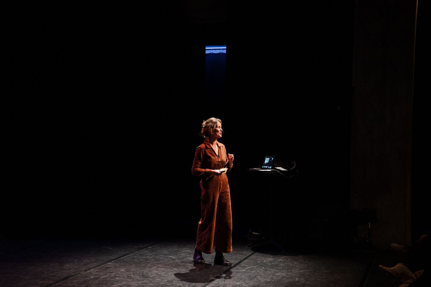 Performer in rust-colored outfit stands on dark stage under single spotlight in theater production.