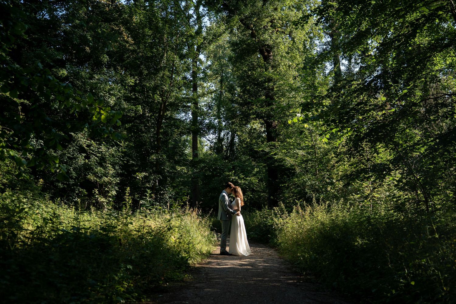Bride and groom embracing on sunlit forest path surrounded by tall green trees.