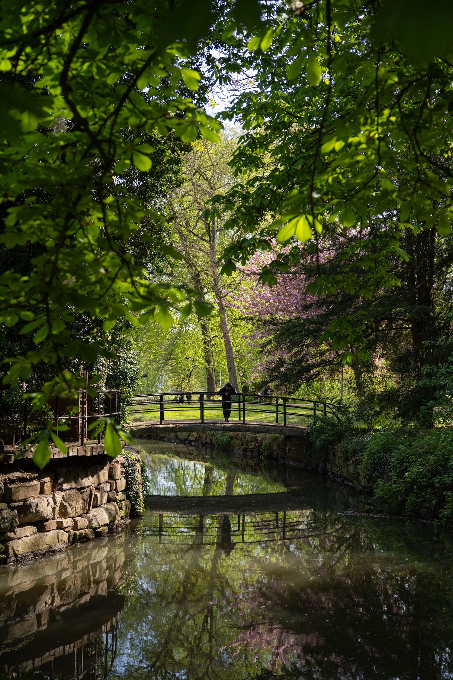 Lush green park with a wooden arched bridge reflected in a calm pond surrounded by trees in spring.