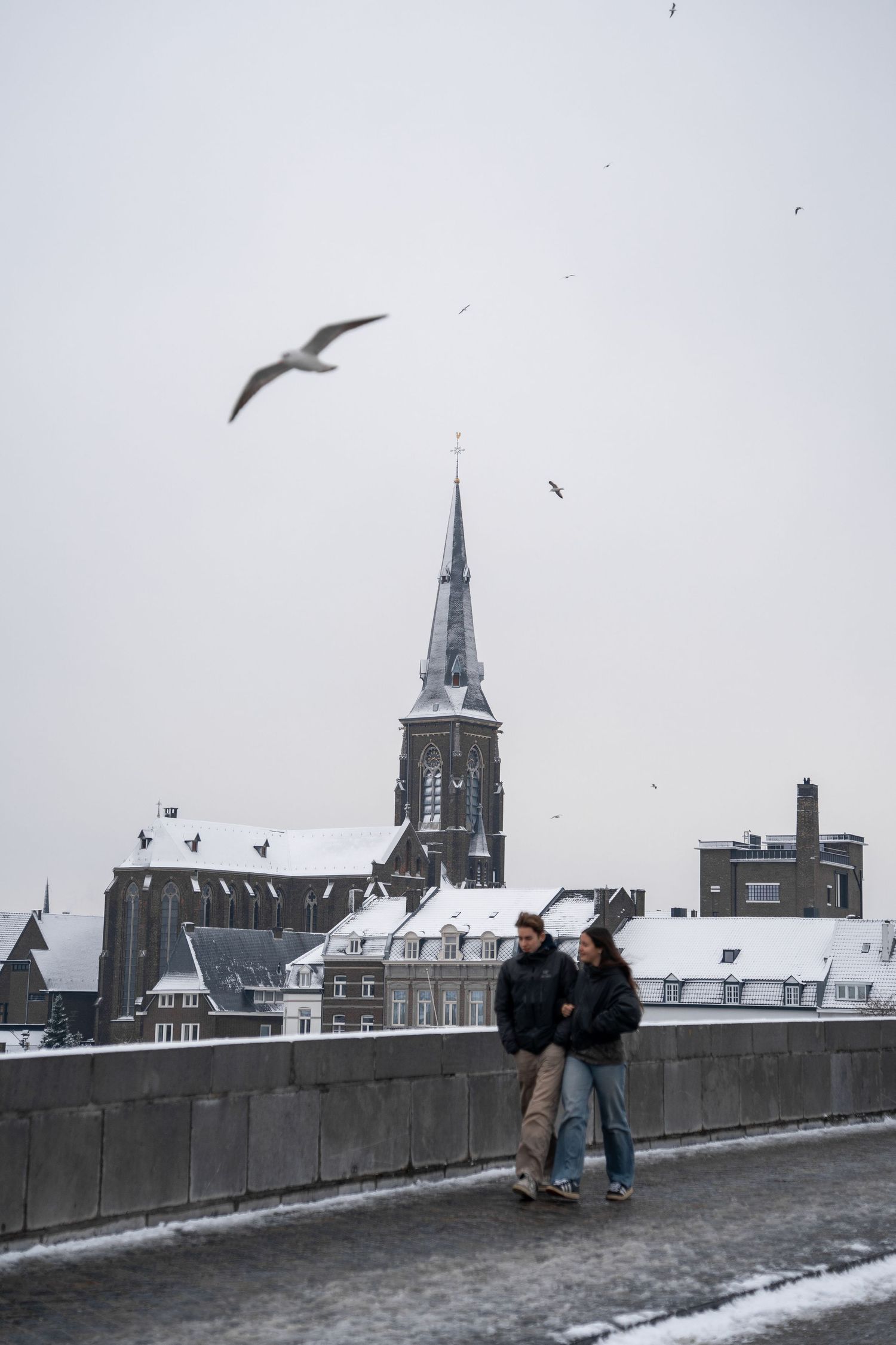 Couple embracing on a snowy bridge wall with seagulls flying over a snow-dusted European city skyline.