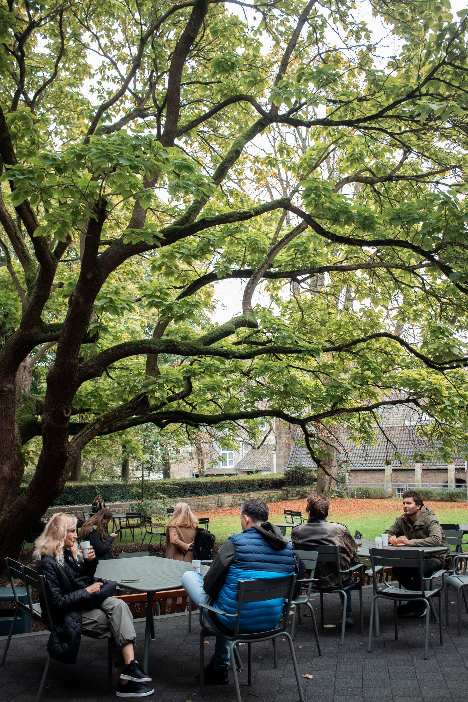 Students relax outdoors under a large tree at Maastricht University campus seating area.