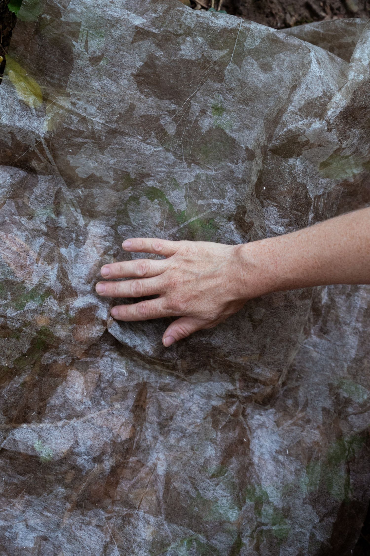 Close-up of a hand pressing against a textured translucent material with embedded botanical elements.