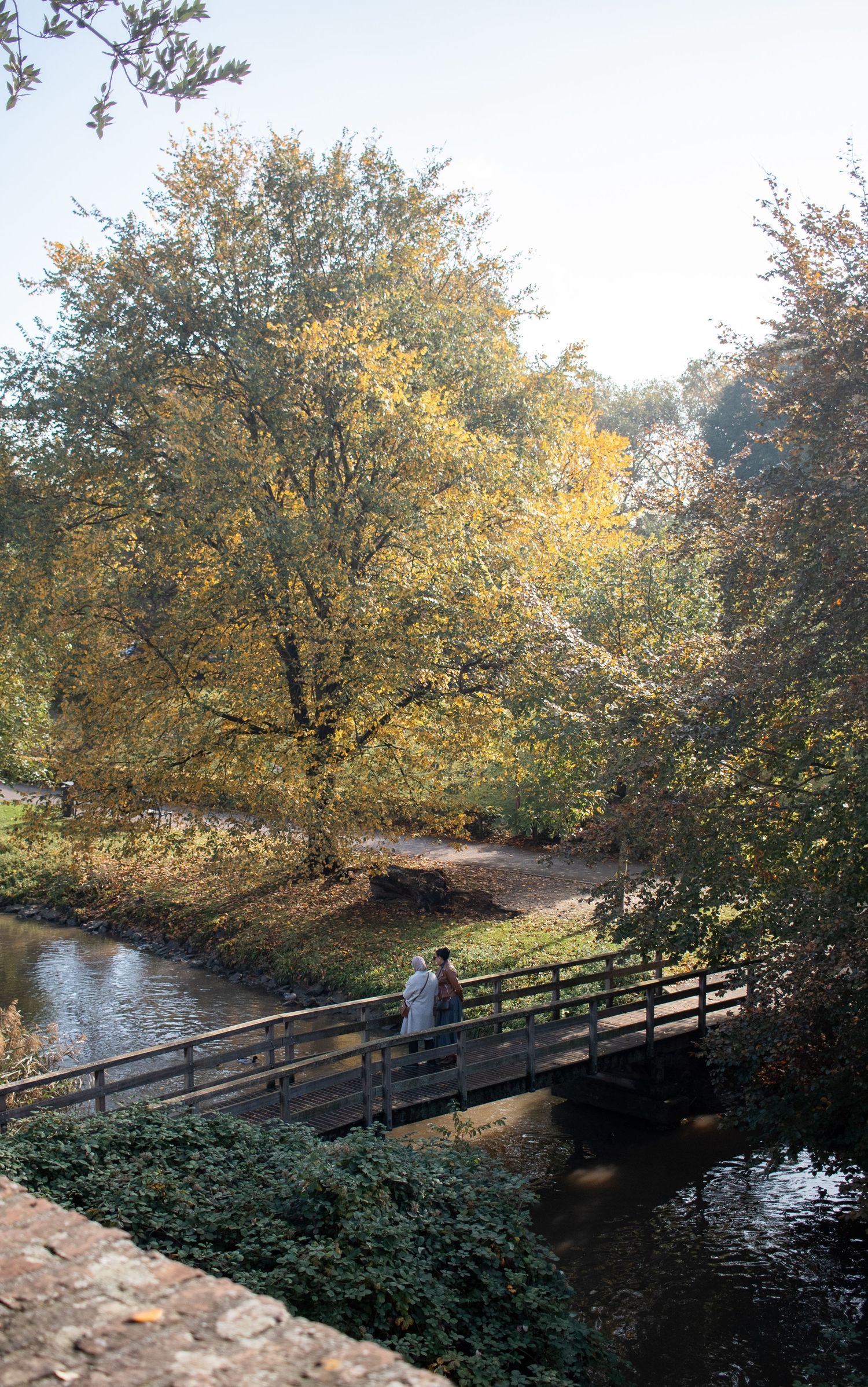 A lone person crosses a wooden footbridge over a calm stream surrounded by autumn trees in golden foliage.