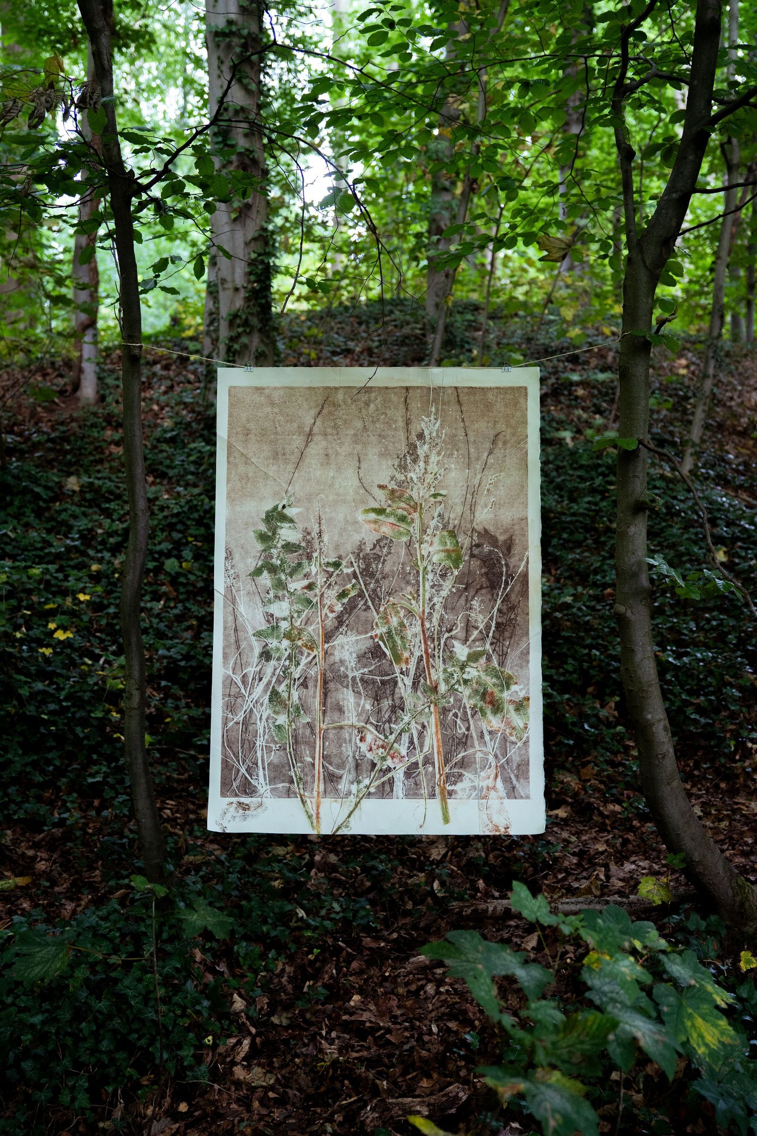 Large botanical print artwork displayed between trees in a lush forest.