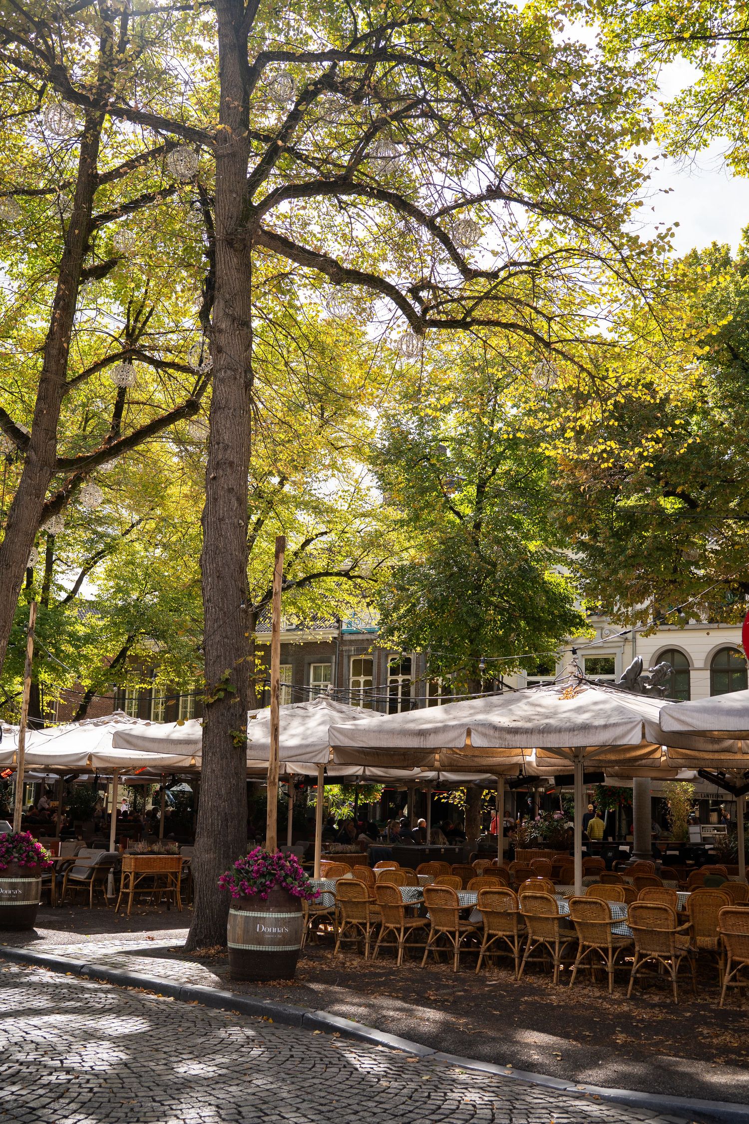 Sunlit outdoor restaurant patio with white parasols and wicker chairs nestled among large trees on cobblestones.