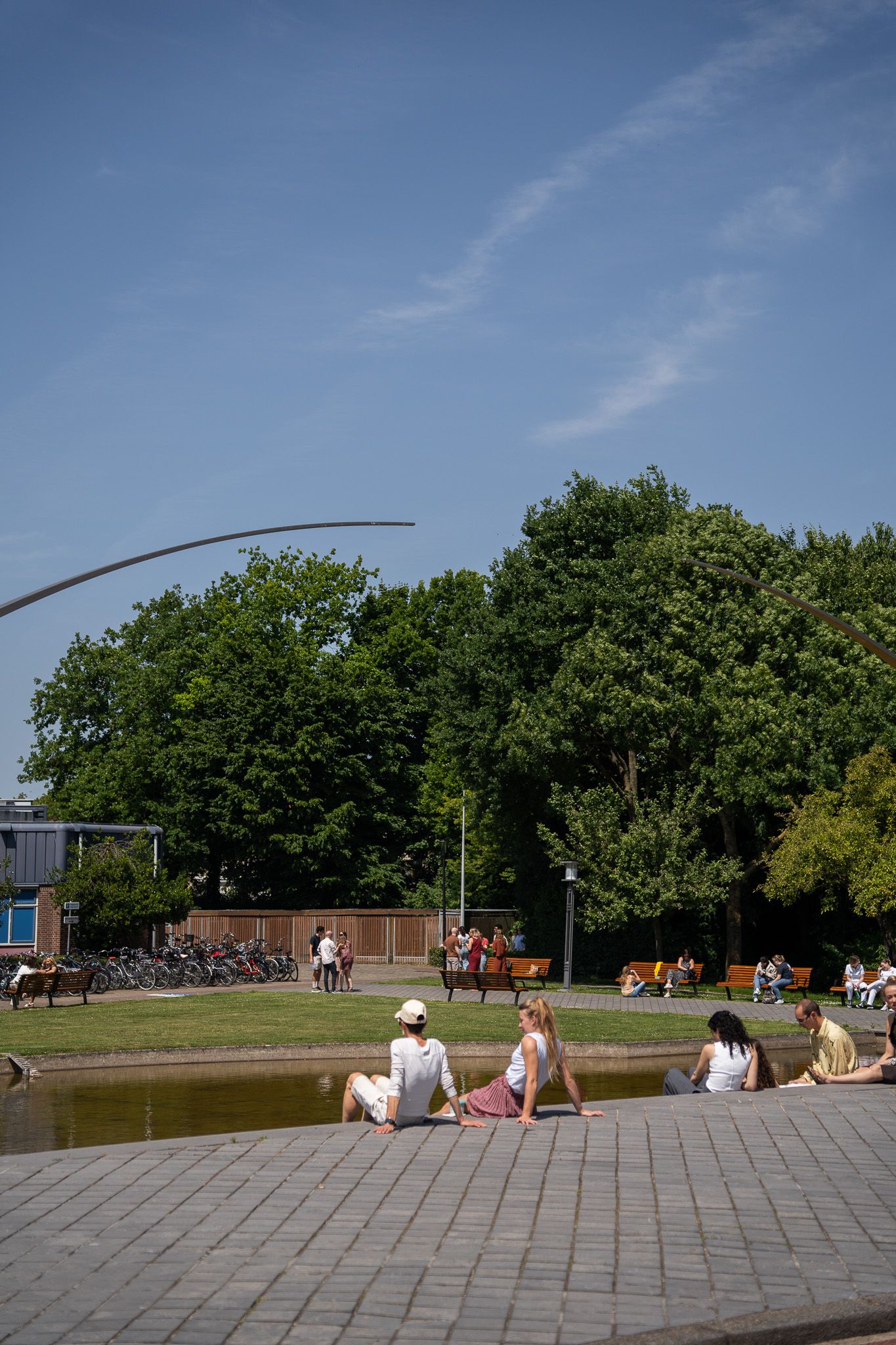 People relaxing by a pond in a sunny urban park with trees, bicycles, and a curved sculpture nearby.