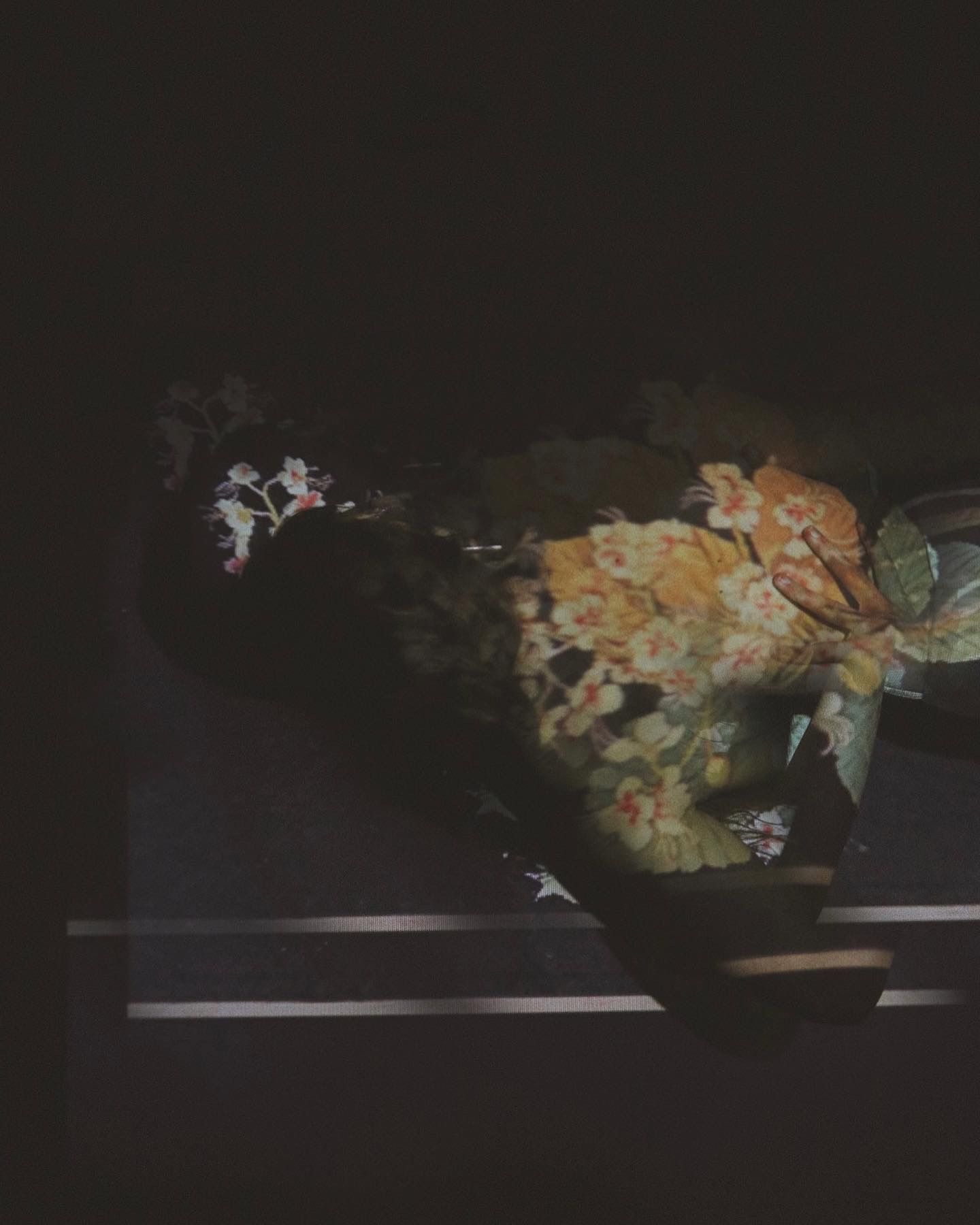 Dark artistic photo with colorful floral projections illuminating a shadowy figure.