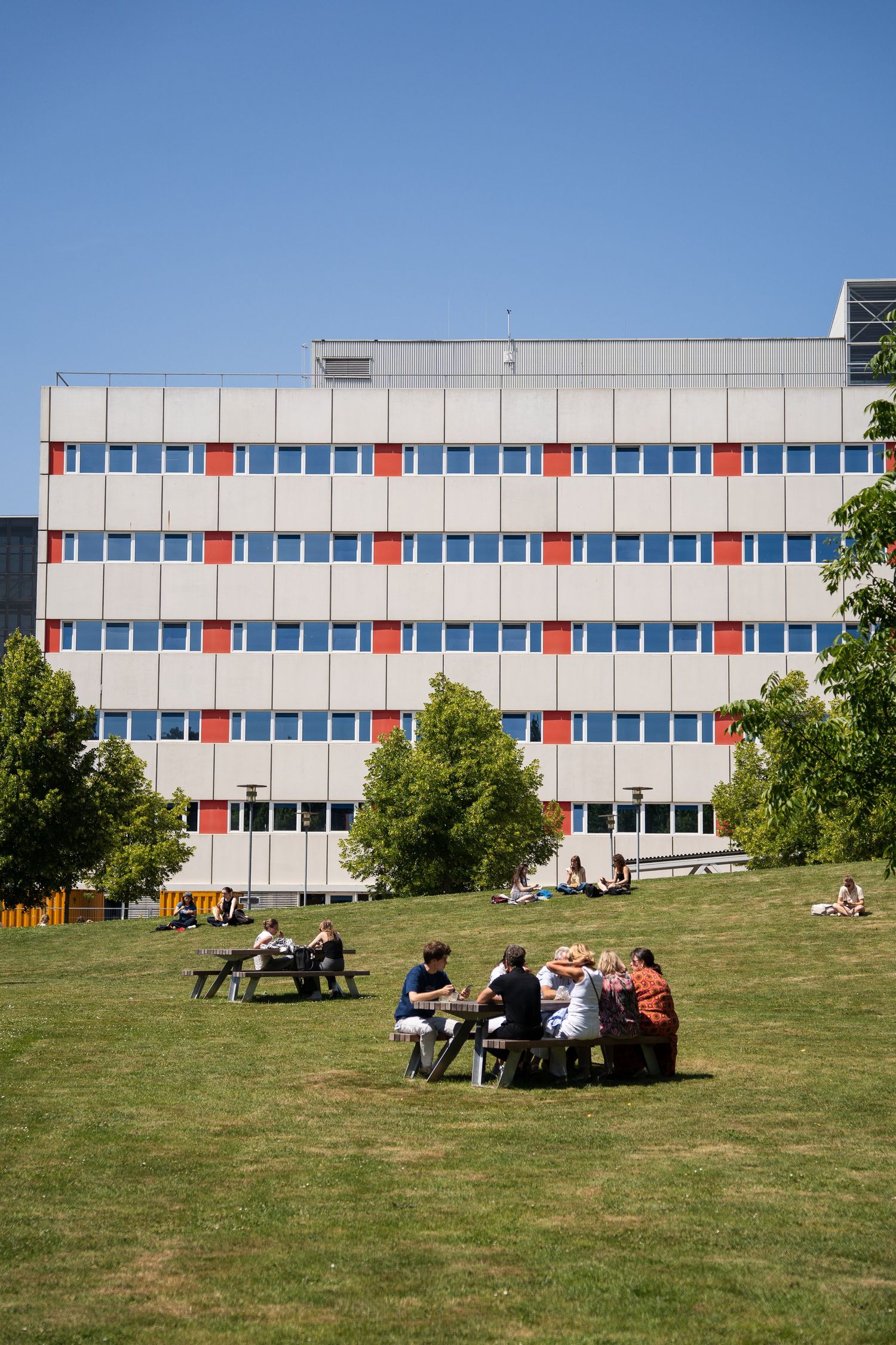 Students relaxing on grass at a picnic table in front of a modern university building on a sunny day.