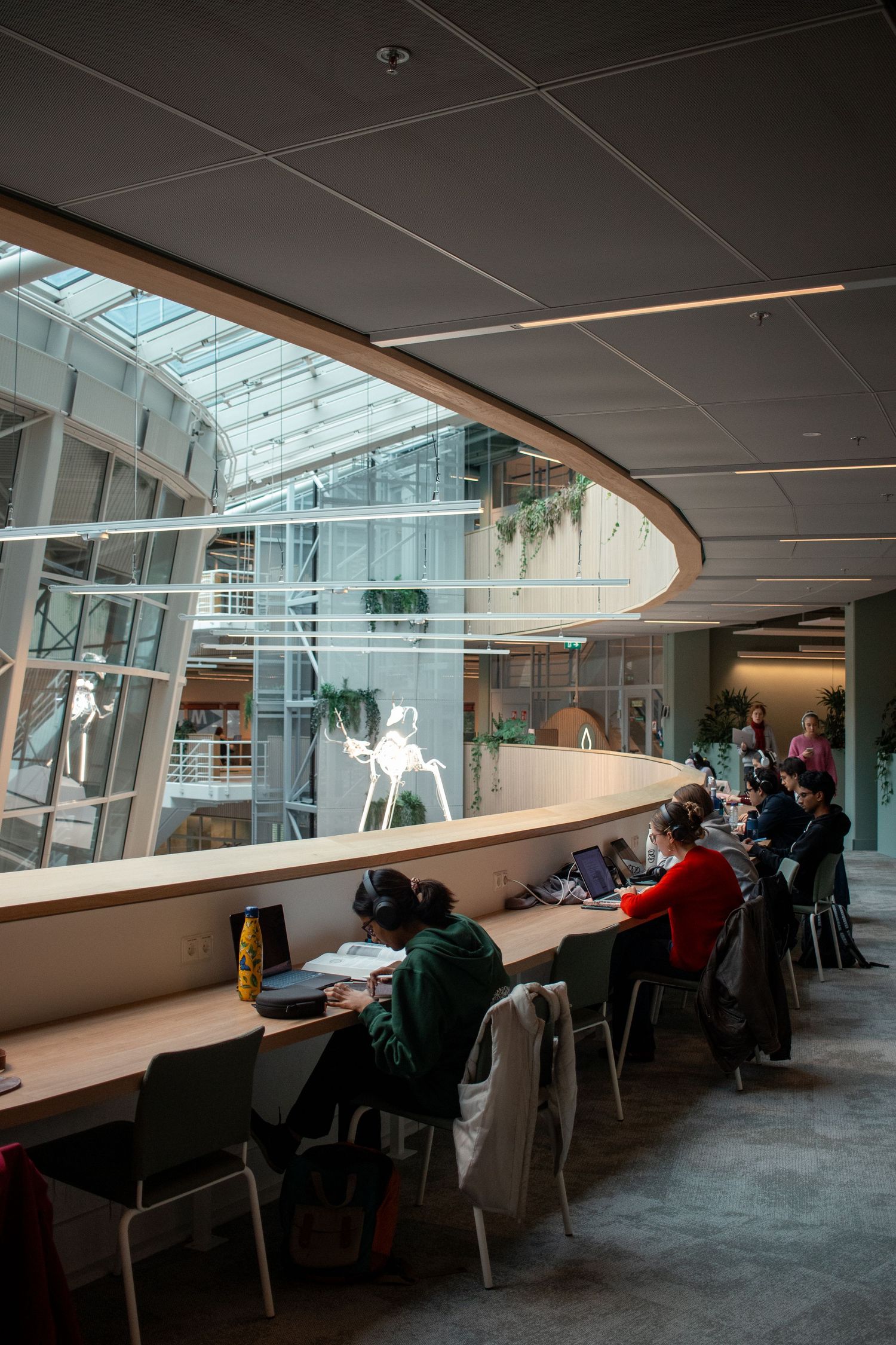 Students study at a long desk beside a curved glass atrium wall in a modern library.