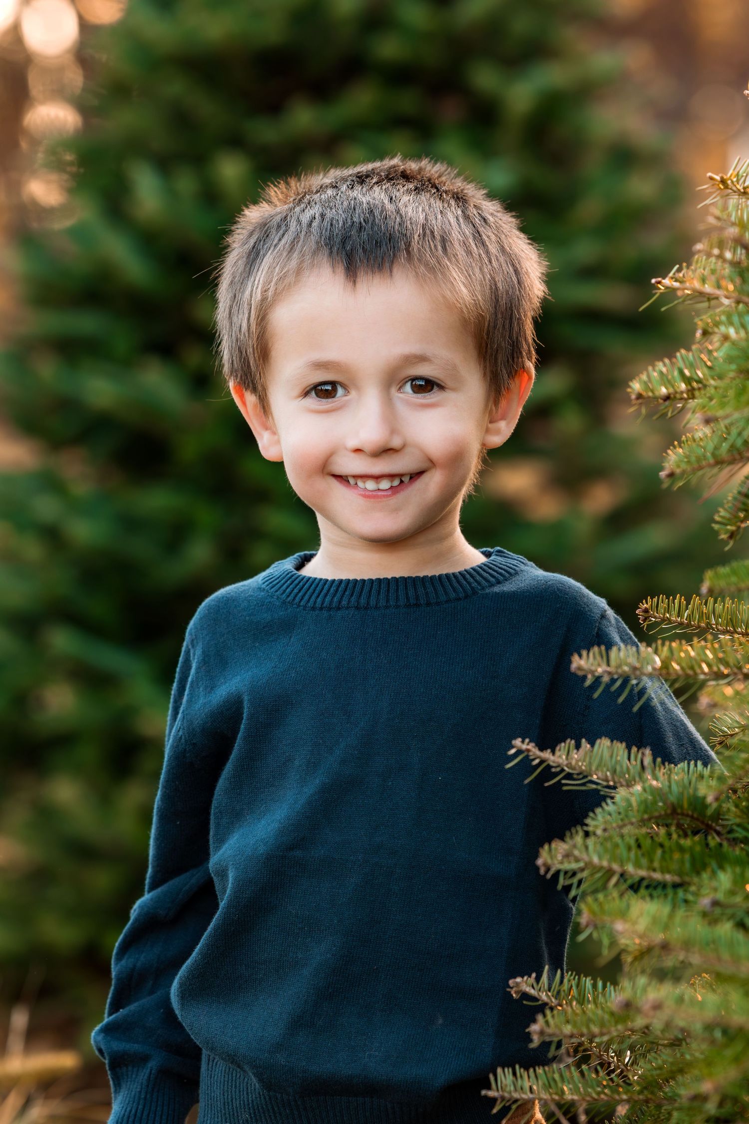 Little boy smiling during a Tree farm photography session in Hartland.  Christmas trees, pines, paths and smiles.
