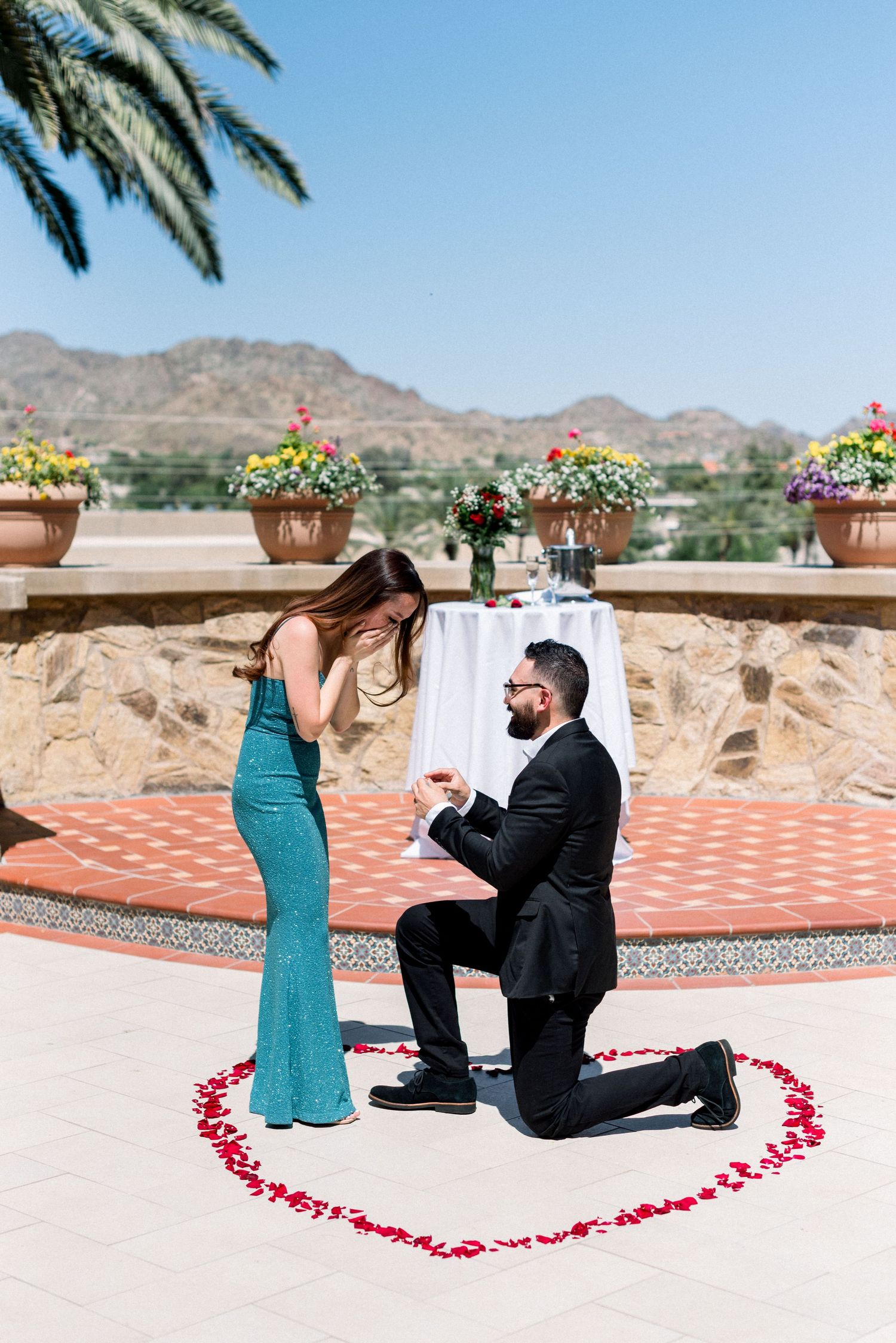 Candid proposal reaction on scenic desert terrace surrounded by flower pots.