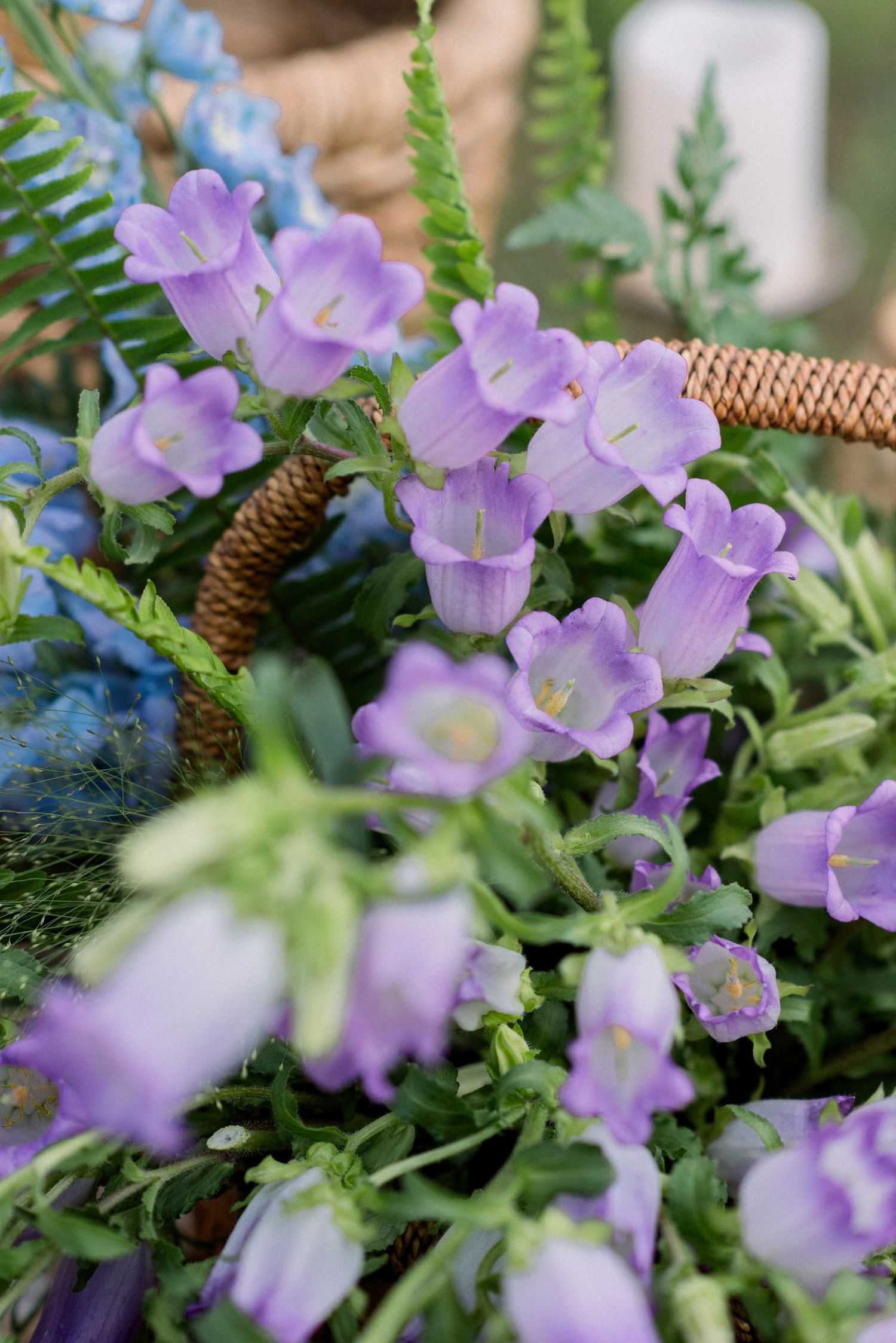 Beautiful purple bell-shaped flowers and ferns arranged in a wicker basket.