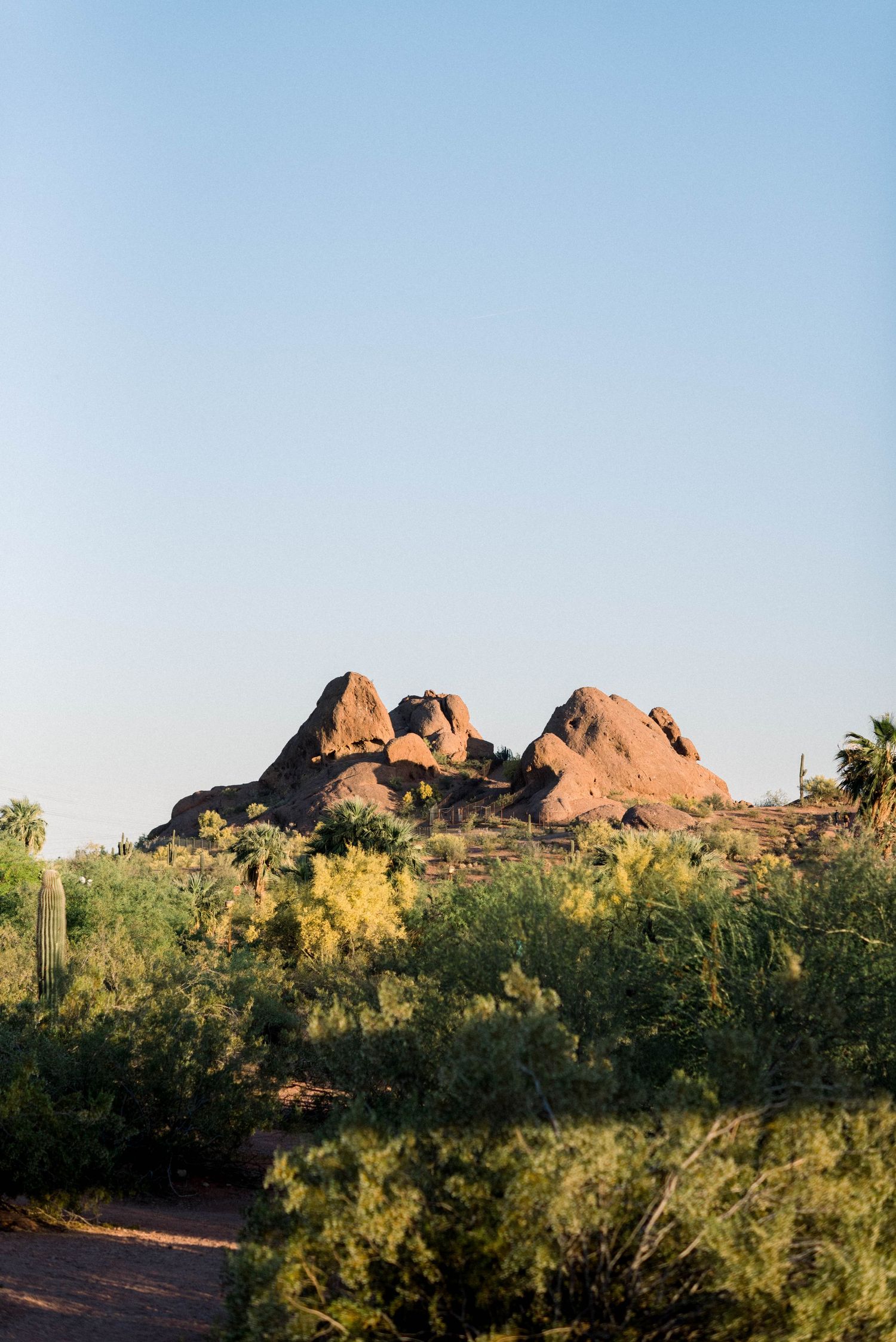 Desert landscape with red rock formations and cacti against clear blue sky.