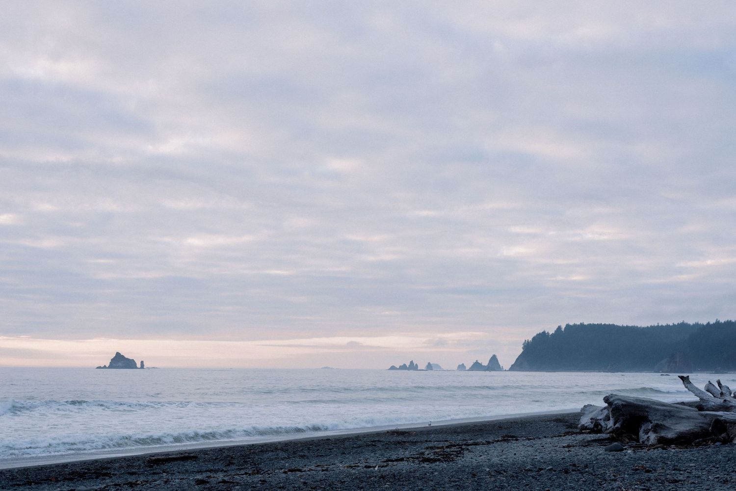 Moody coastal landscape with sea stacks and driftwood on a misty beach at dusk.