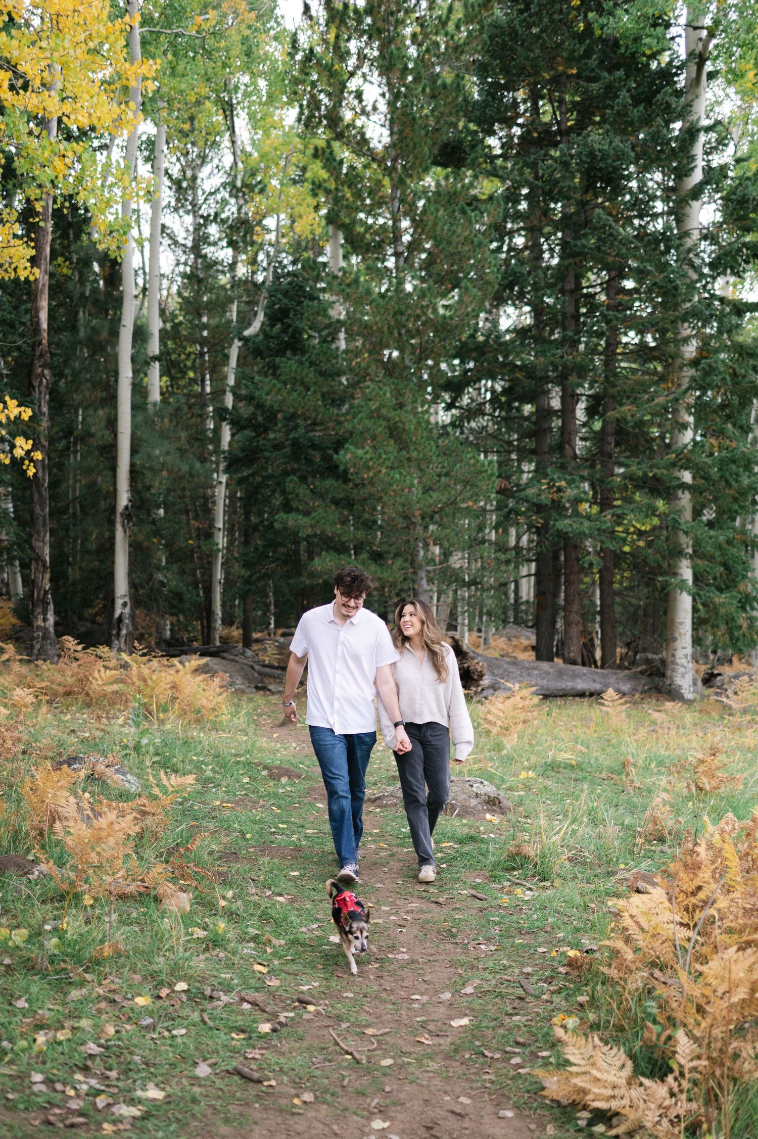 A couple walks together on a winding forest trail surrounded by aspen trees with golden autumn foliage.