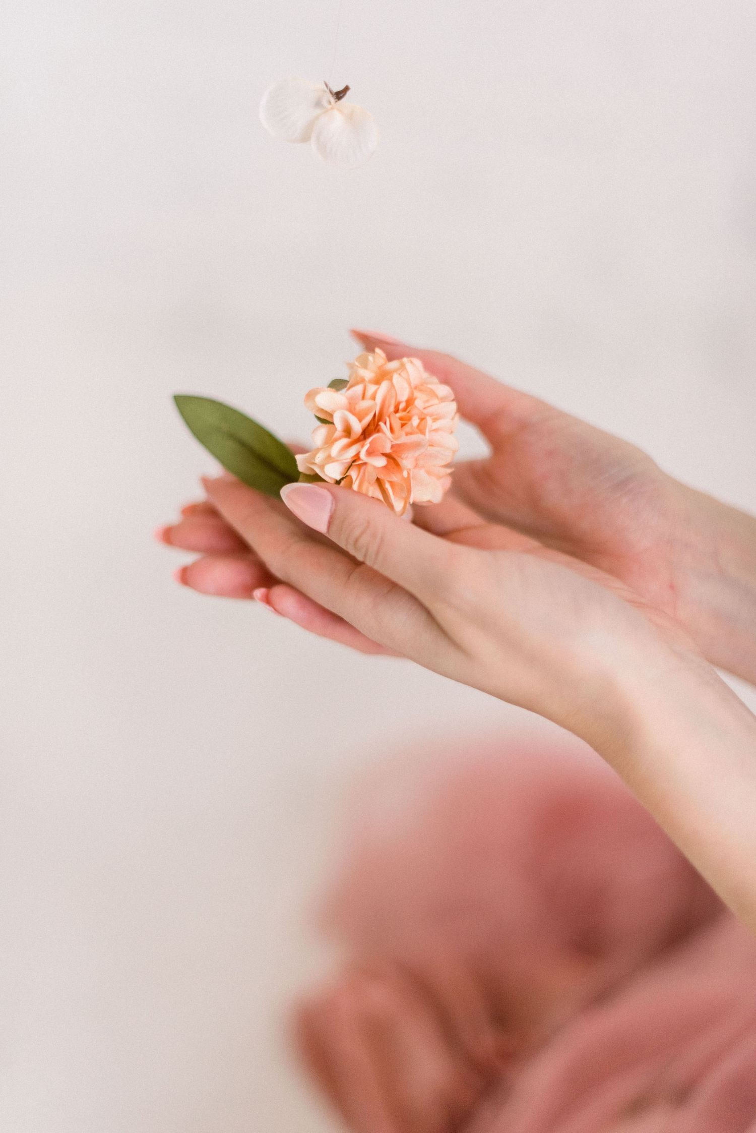 Hands gently holding a peach-colored carnation flower against a light background.